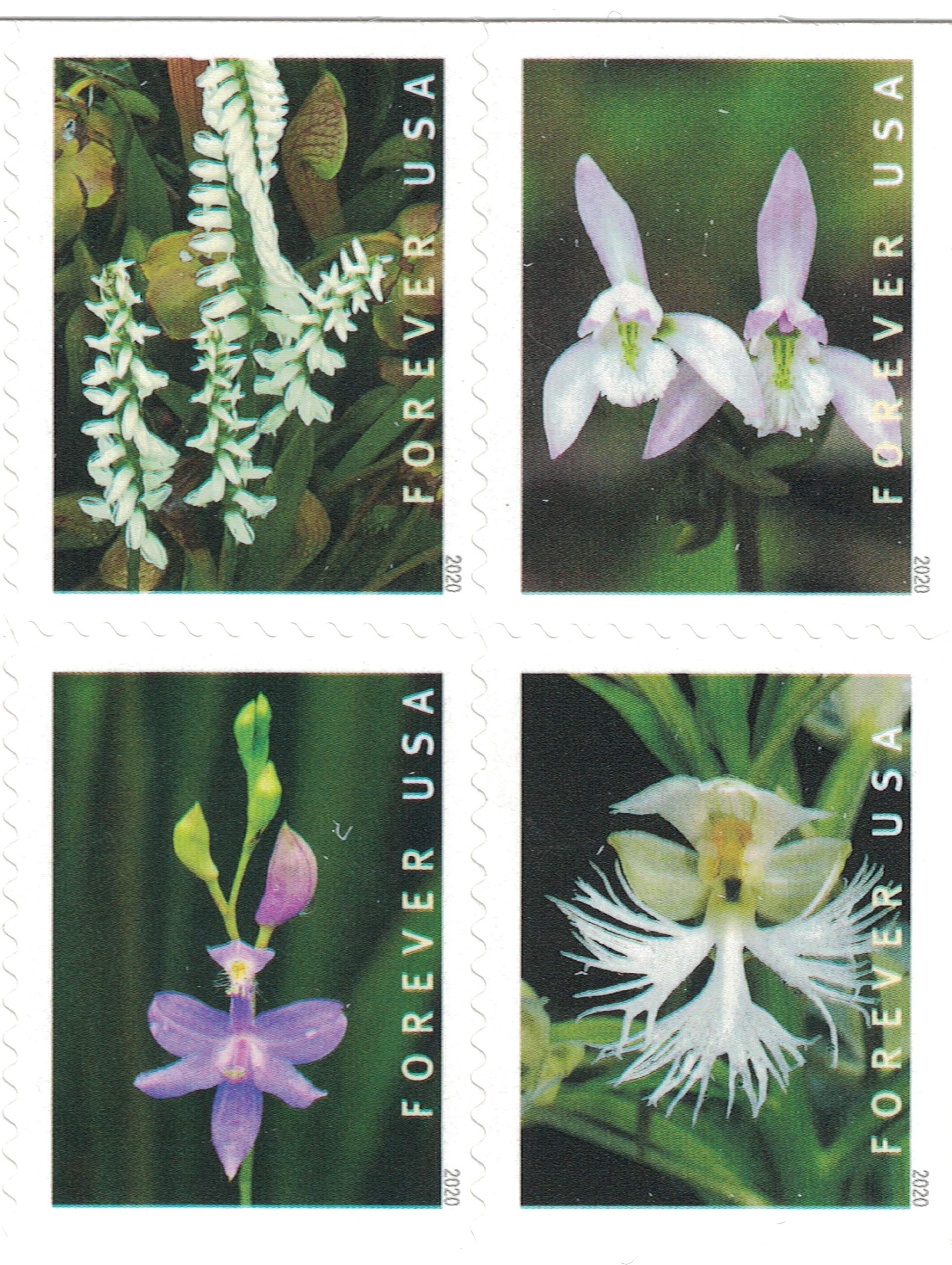 切手25 Amazon.com: Wild Orchids (Booklet of 20) First-Class Mail Forever