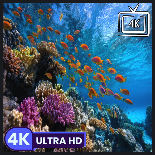 Coral Kingdom - Sonidos vibrantes de la vida marina