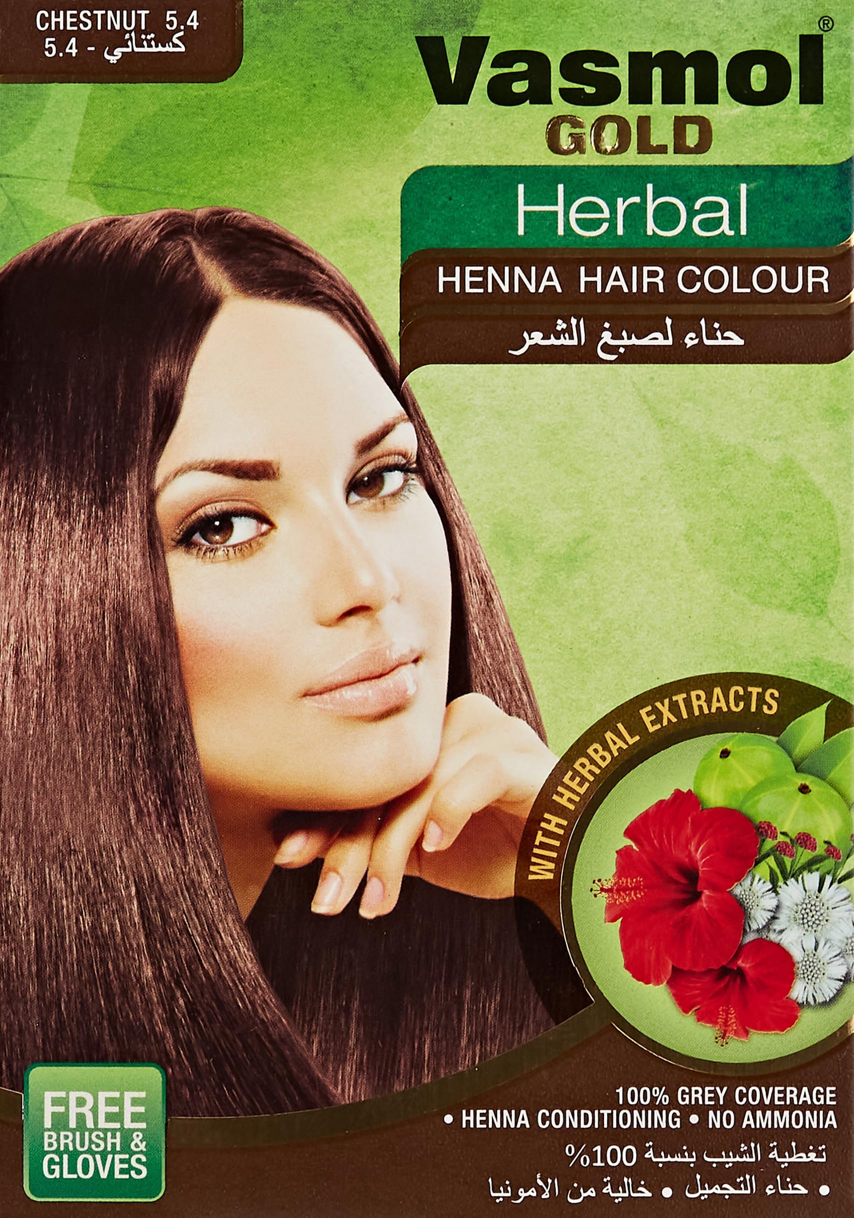 Gold Herbal Henna, Chestnut, 6 X 10 Gm
