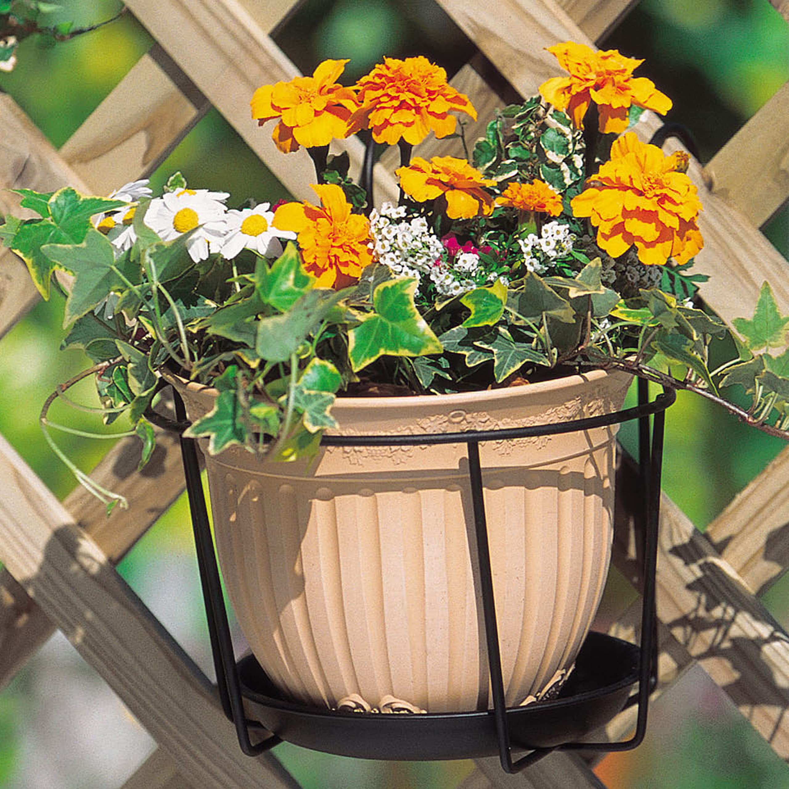 美品 オールドバカラ バンブーローズ 小型 クリスタルガラスのリングホルダー オールドバカラBACCARAT ピンククリスタル ディッシュ ミニ