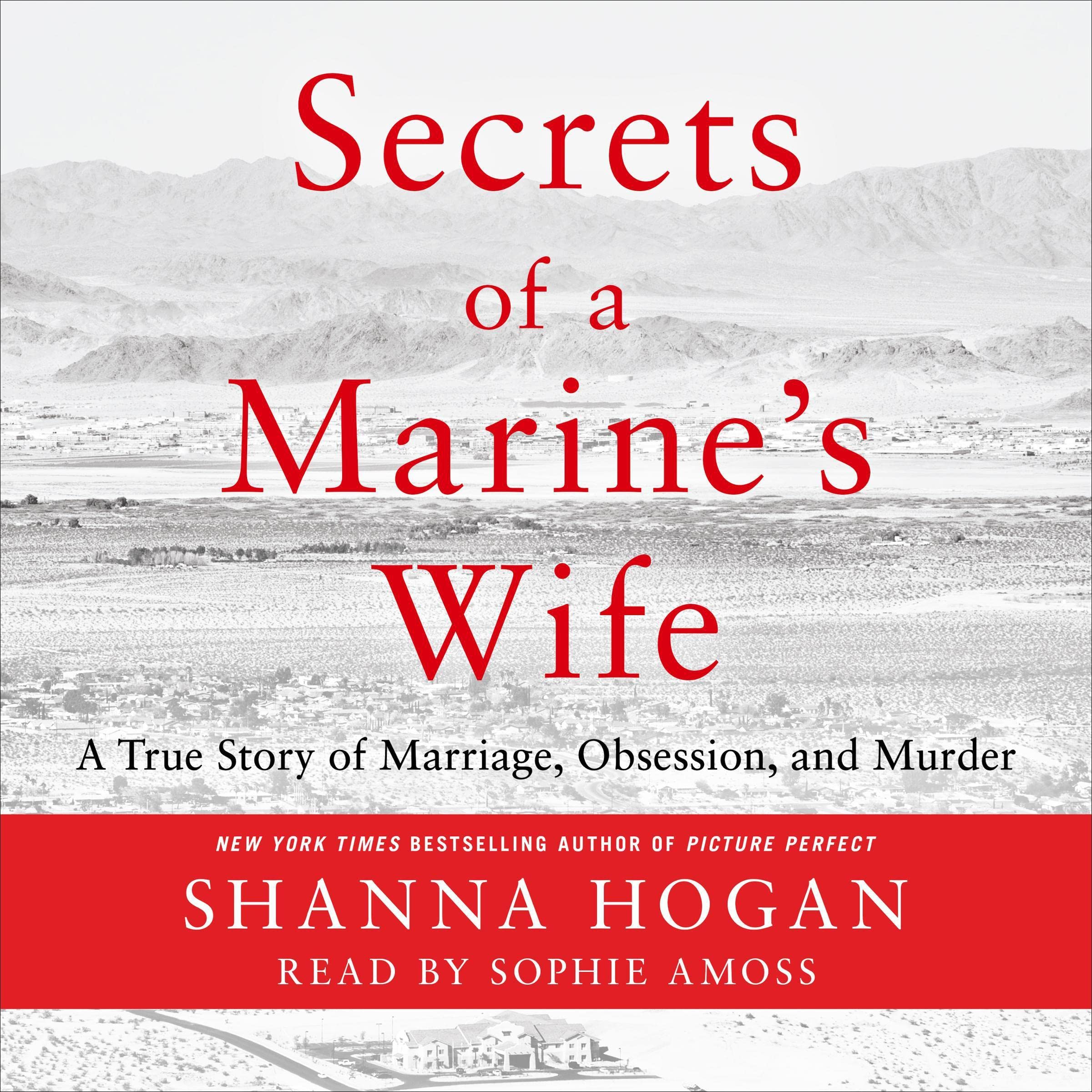 Cover art for Secrets of a Marine's Wife