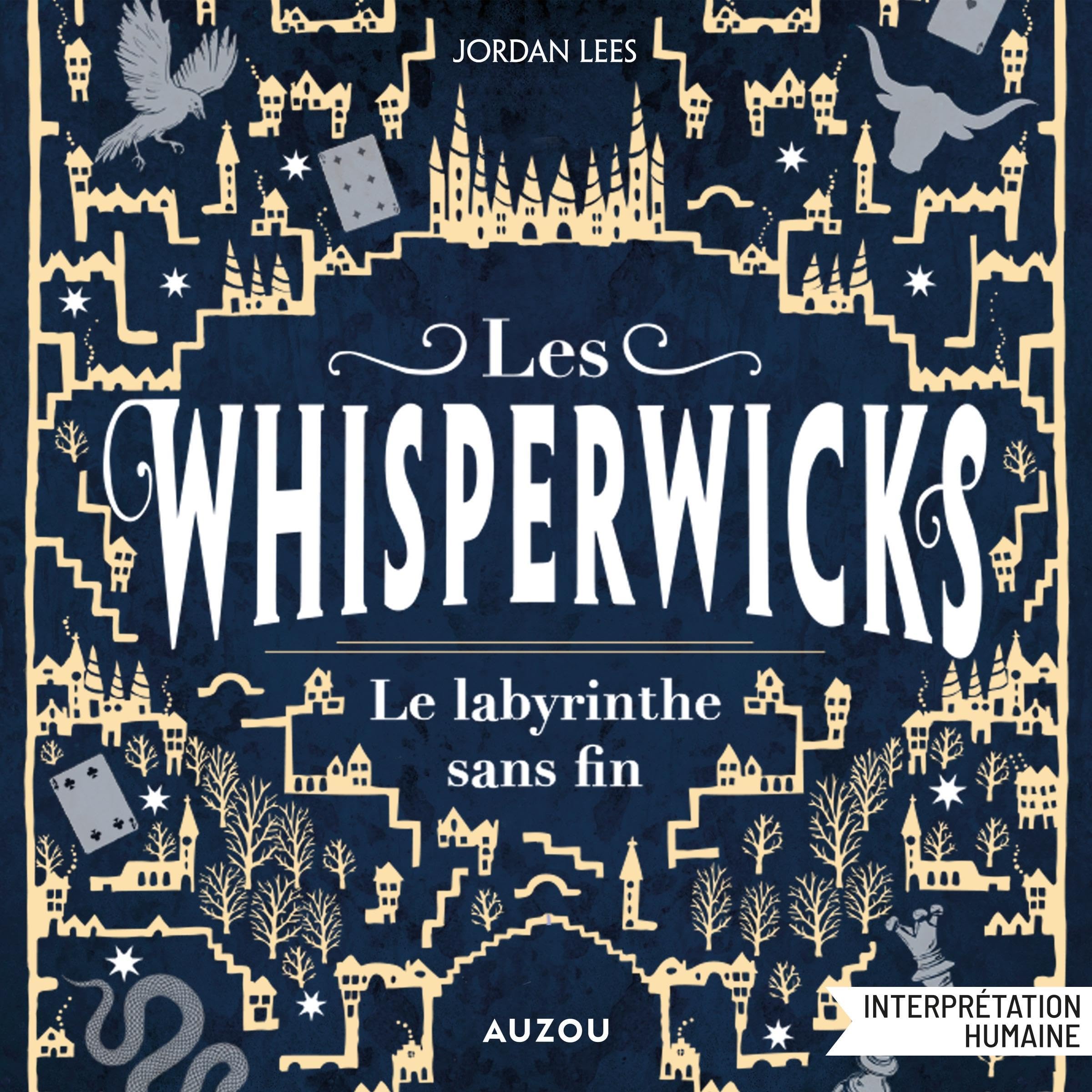 Cover art for Le labyrinthe sans fin