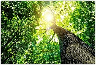 120 x 80 cm Photo Print on Canvas and Frame Treetop Forest Sun Rays Nature Canvas Picture on Stretcher Frame Modern Stylish Pictures and Decoration