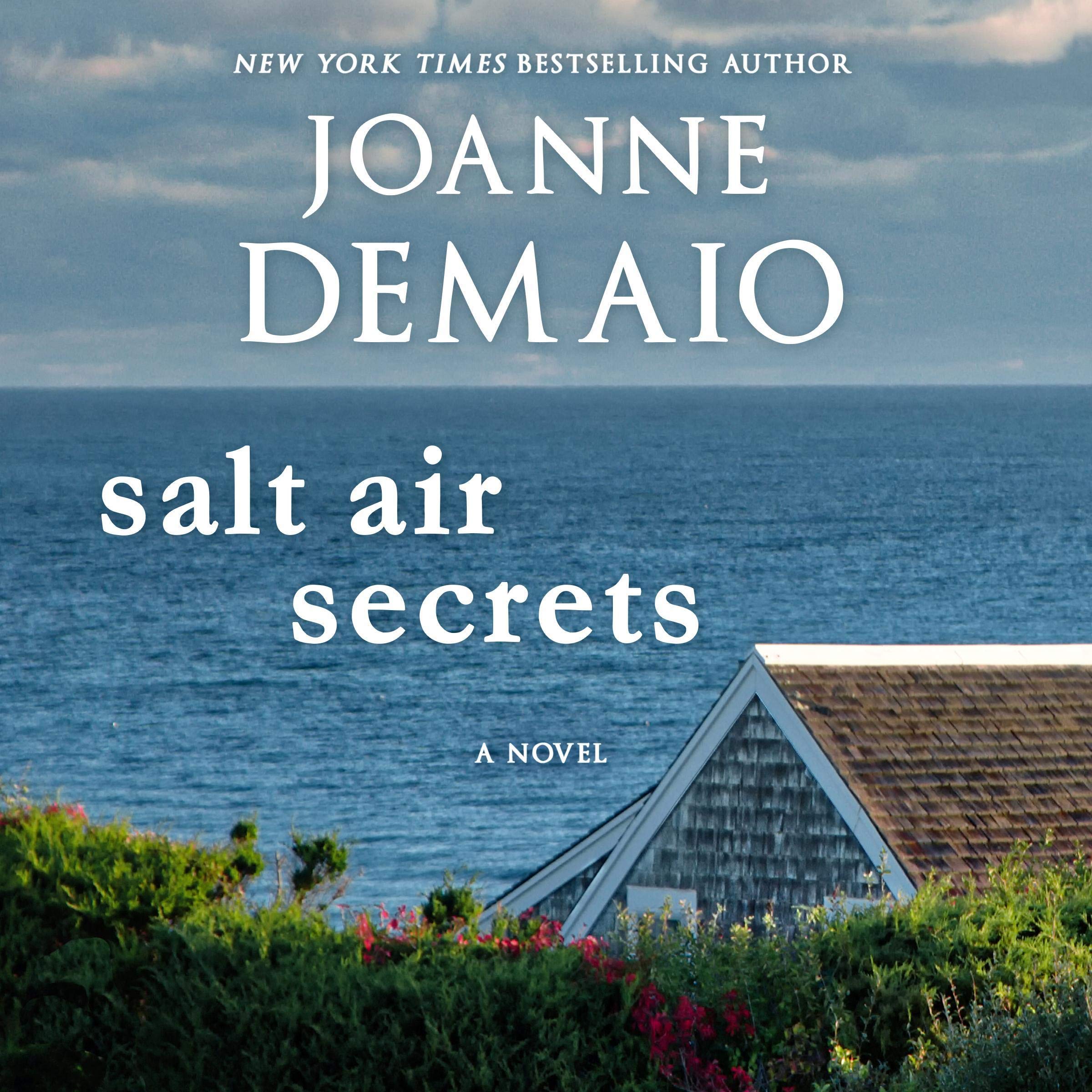 Cover art for Salt Air Secrets