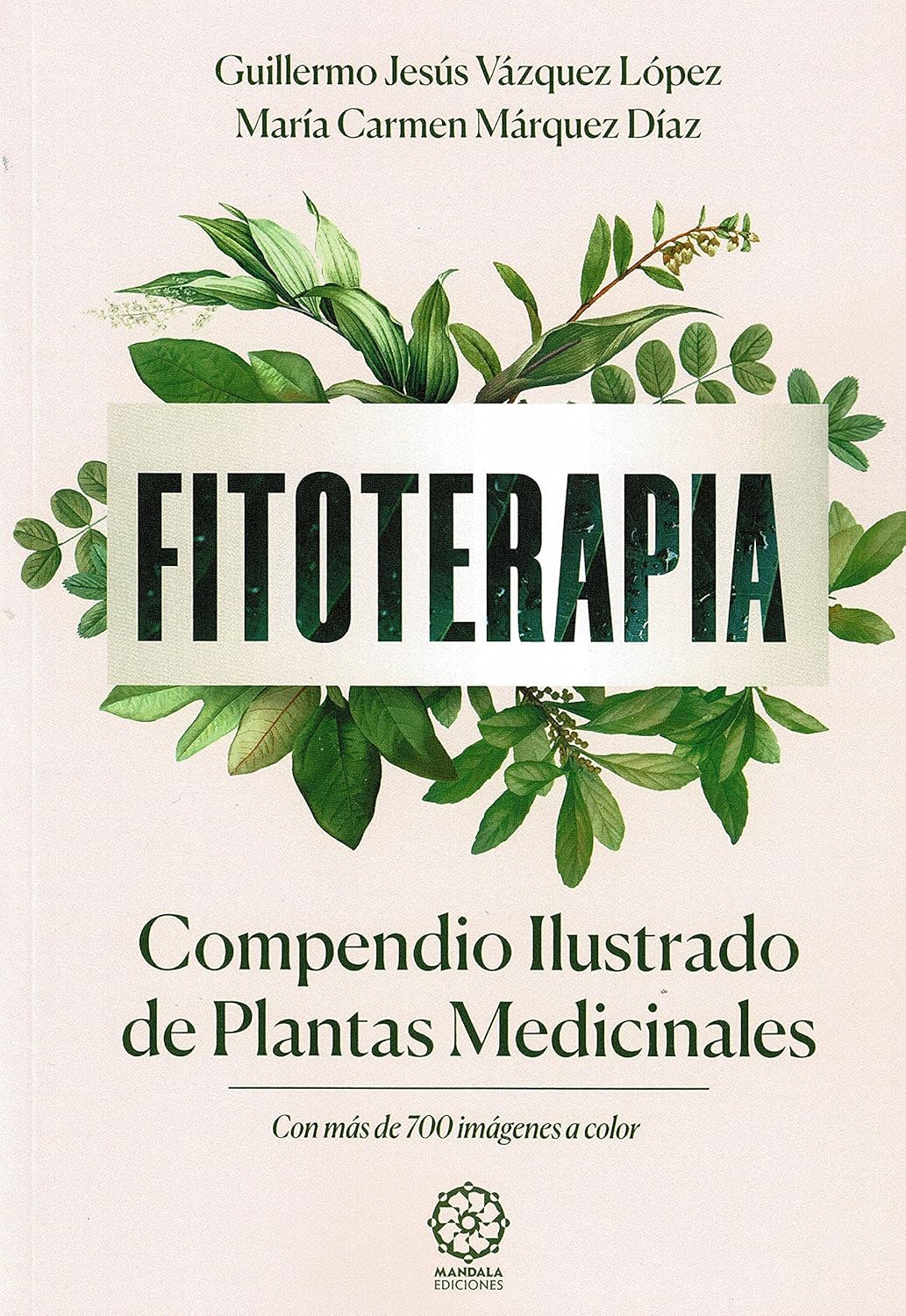 Fitoterapia. Compendio ilustrado de Plantas Medicinales: 9788418672286 ...