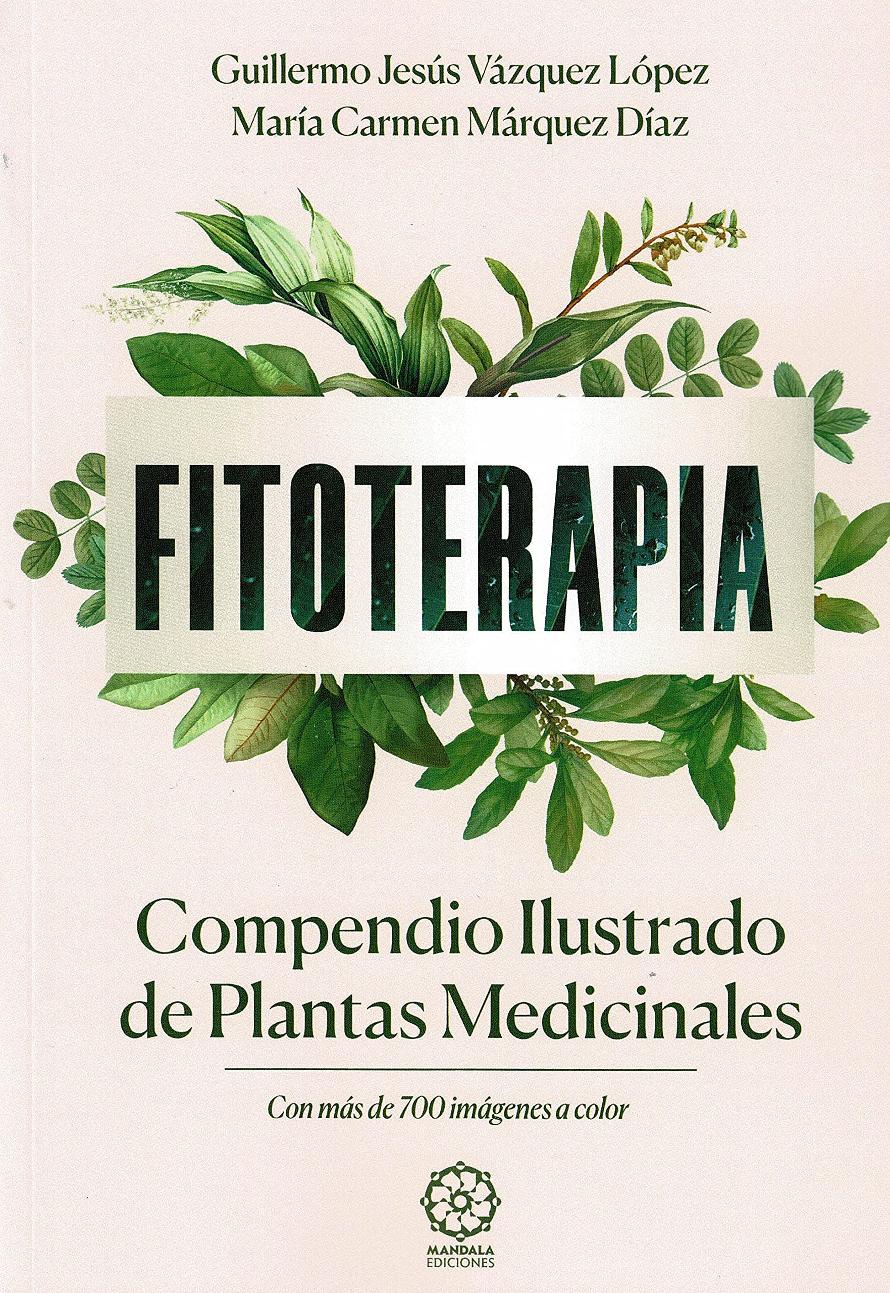 Fitoterapia. Compendio ilustrado De Plantas medicinales