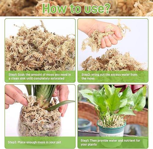 Vista 6 de Musgo Sphagnum para plantas, musgo esfagnum natural prémium para orquídeas, medio de cultivo de plantas que retiene la humedad para flores, macetas