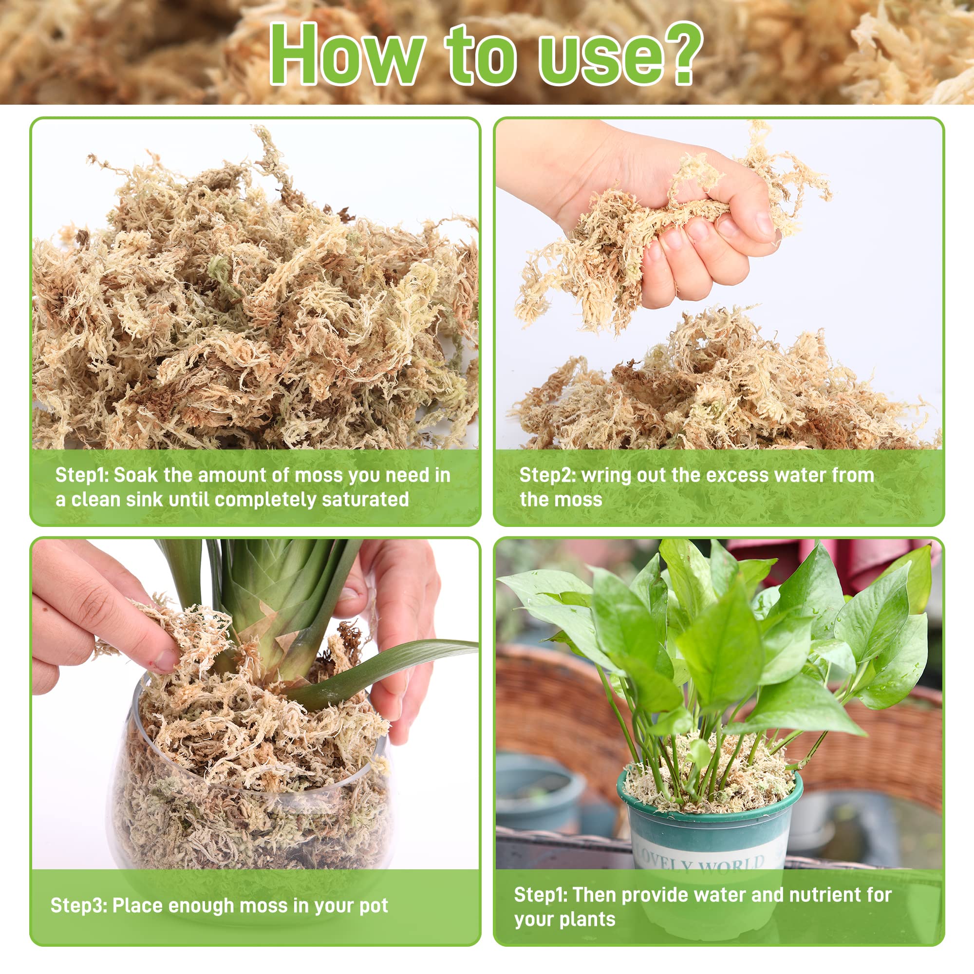 Musgo Sphagnum (esfagno) Para Orquideas Terra Nobre Parcelamento