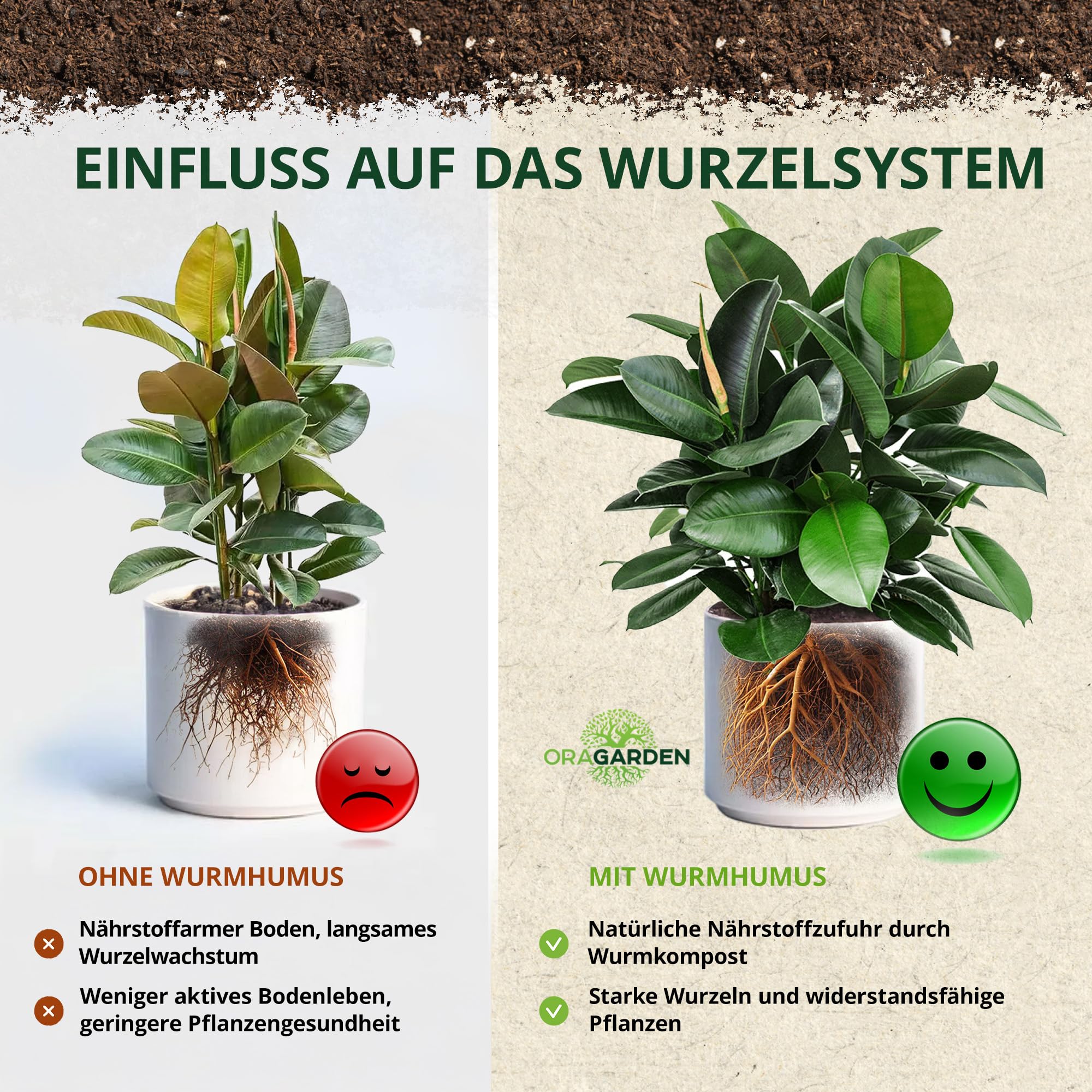 aquarium lampe fr zimmerpflanzen Terrarium DIY Set - Kreiere dein eigenes Mini-kosystem