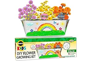Paint & Plant: A Kid-Friendly Gardening Kit for Budding Botanists