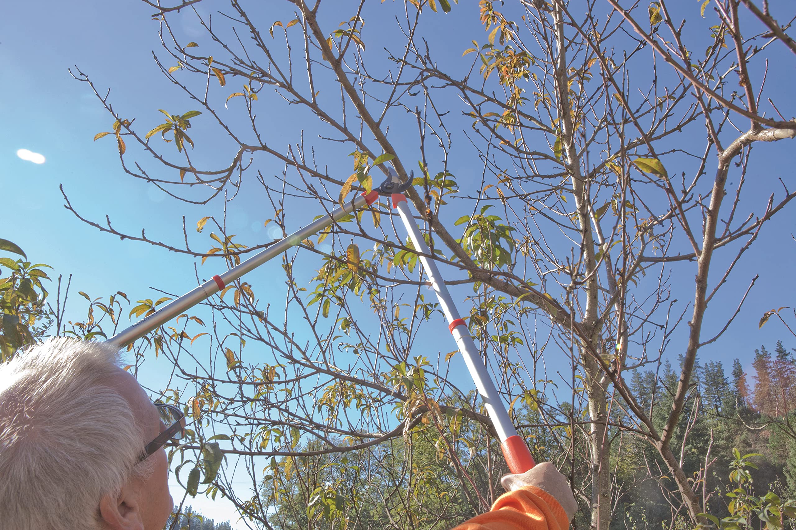 Tijera de Poda a 2 Manos Telescópica Pruning 0390T - Ajuste Manual - Corte Bypass Muy Preciso - Ultraligera - Tijera de Jardinería Fabricada con Aluminio Reforzado - Altuna