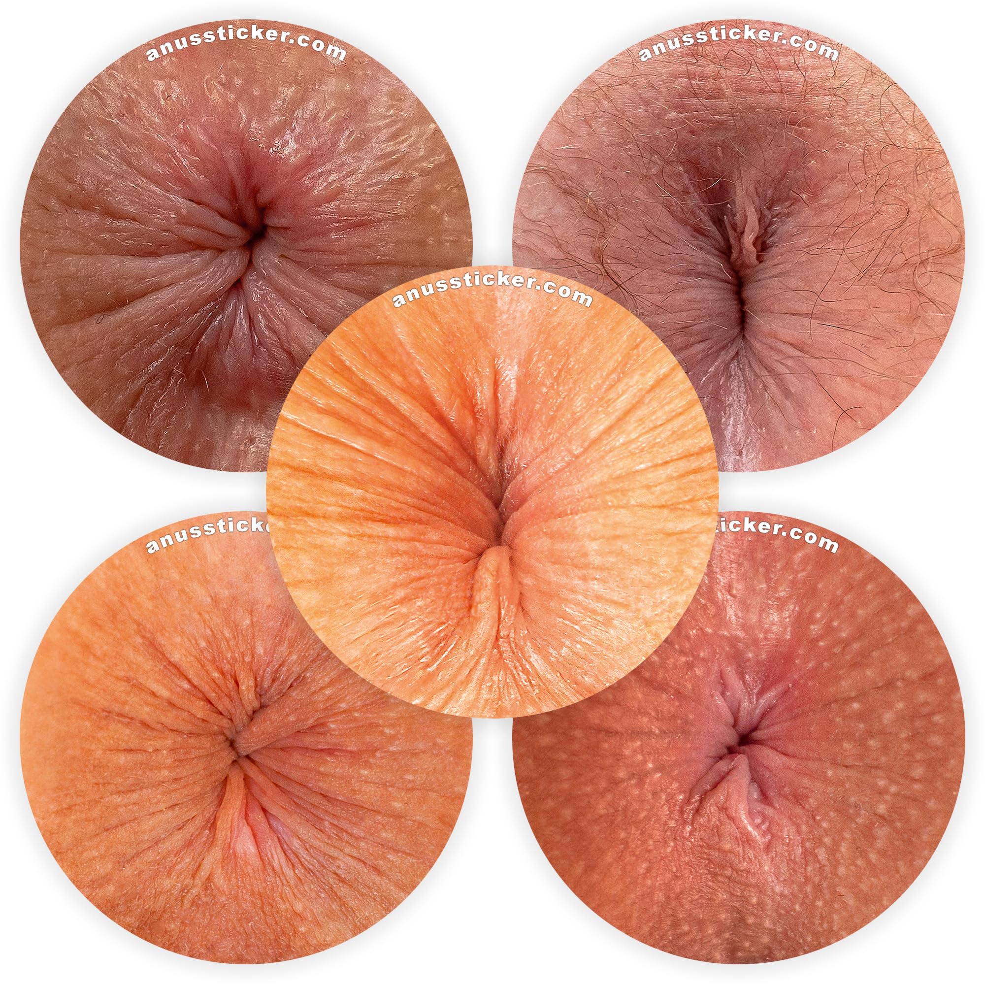 "Festival Edition" Pack de 250 Stickers Anus – Autocollants Humoristiques Ø 5cm Brillants – Accessoire Fête, EVG, EVJF & Soirée Étudiante