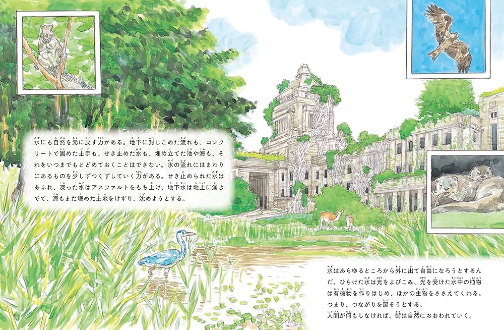 月刊たくさんのふしぎ 2022年7月号 : Amazon.sg: Books