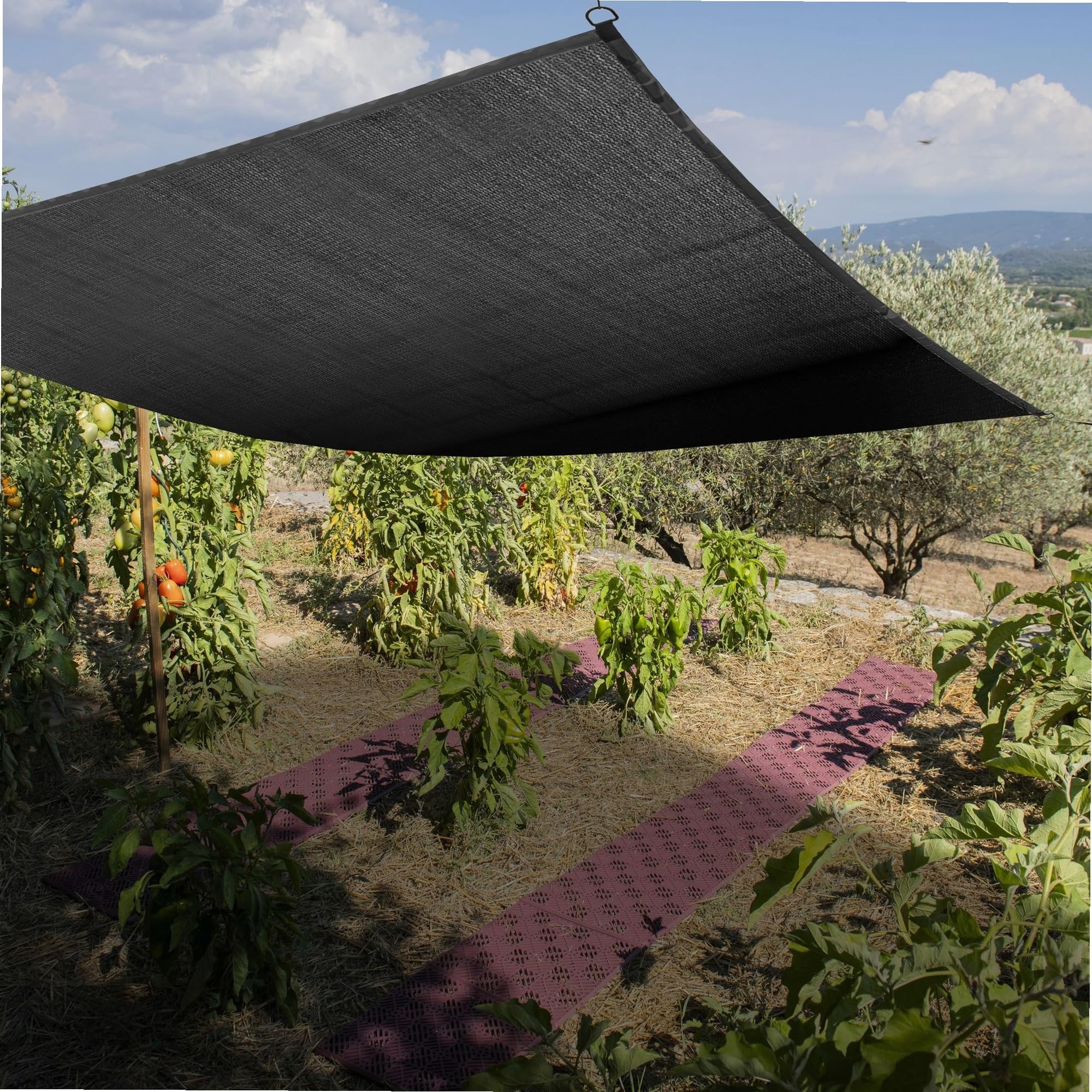 WERKA PRO Toile d'Ombrage Potager et Serre 4 x 5 m - Polyéthylène Tressé - Protection Solaire 75% - Œillets Aluminium Tous Le