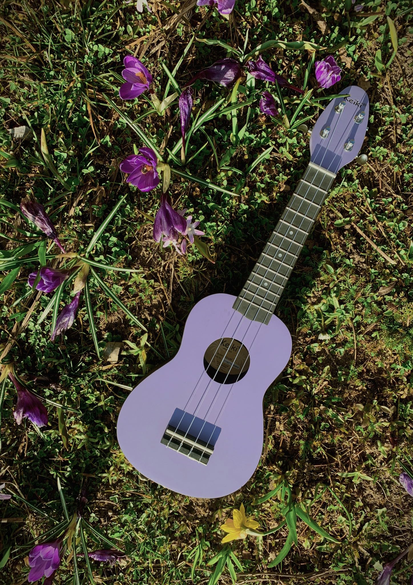 Ortega Guitars Ukelele Soprano púrpura - Keiki K2 - Kit de inicio incluye afinador, correa, 5 púas medianas y bolsa de dibujo - pastel/lavanda (K2-LAF)