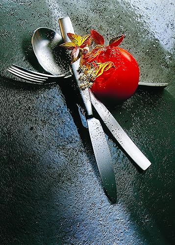 Miniatura 2 de MEPRA 104022020 - Juego de cubiertos de hielo, 20 piezas, acabado de acero inoxidable cepillado, cubiertos aptos para lavavajillas