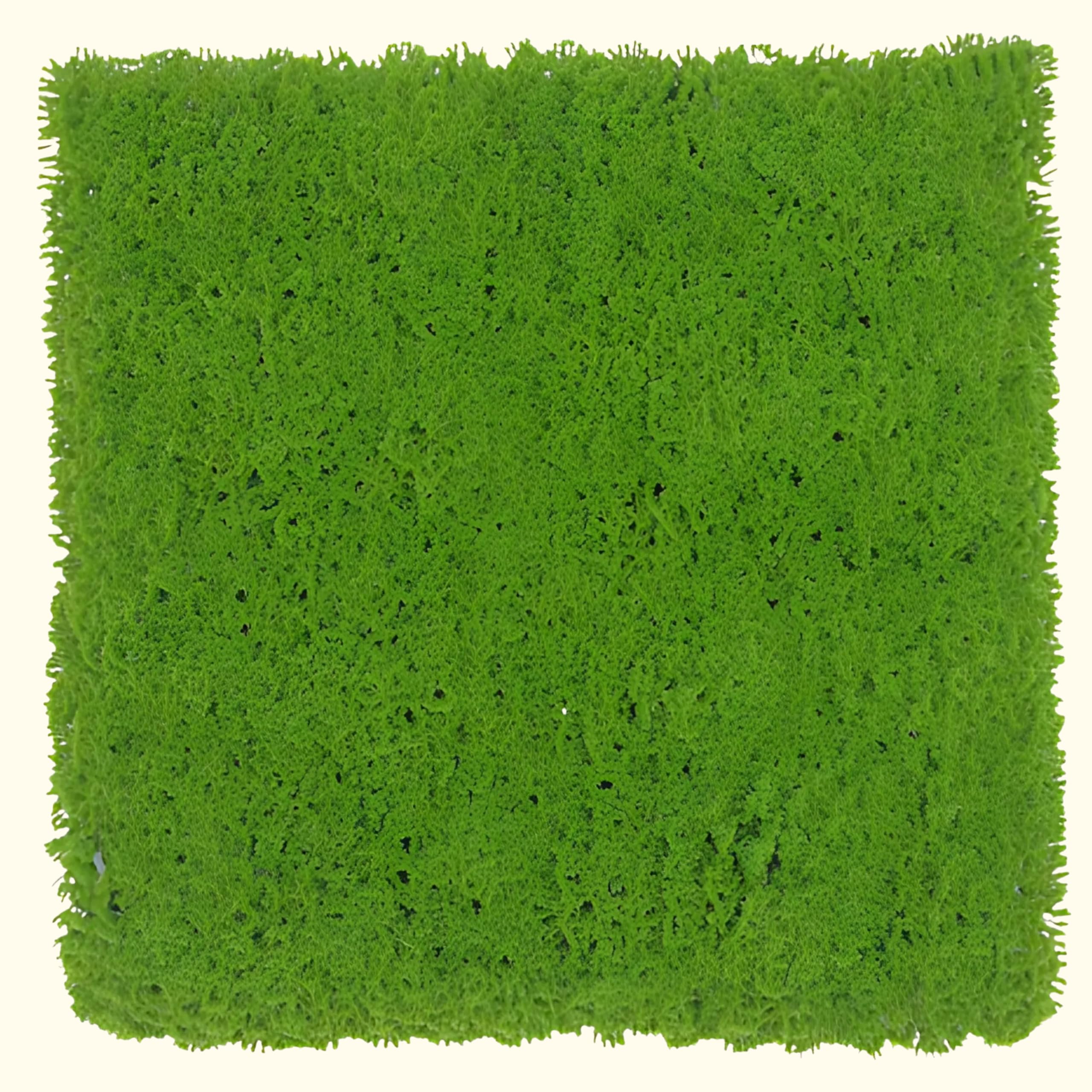 ilan UV Safe Artificial Moss Greenwall Panel, Faux Plant Wall, Realistic Greenery, Vertical Garden, Privacy Screen, Indoor Outdoor Decor, Balcony Fence (50x50 cm) (Green Moss)-image-26
