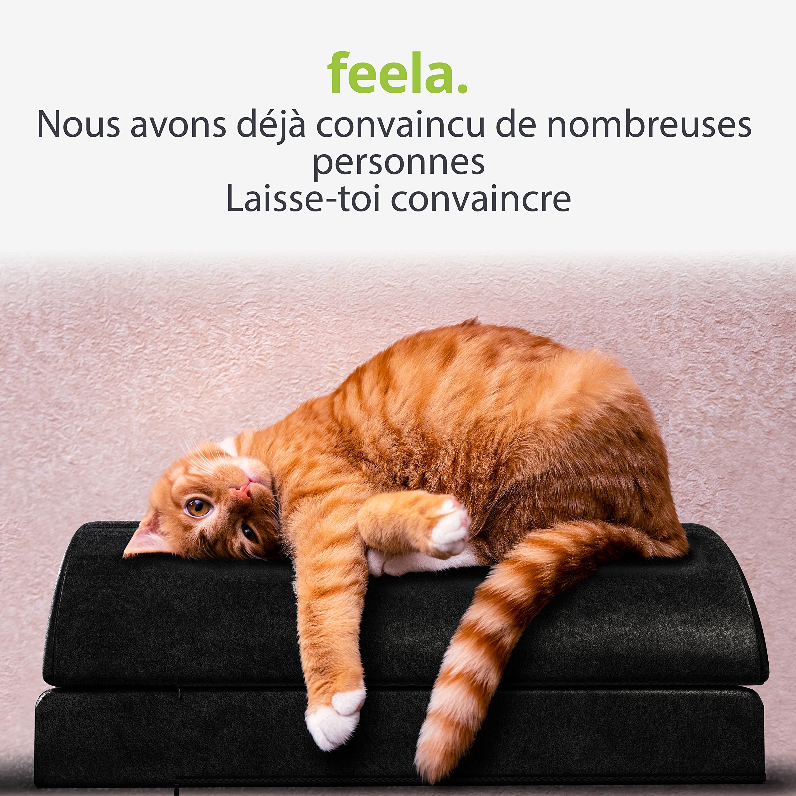 feela.® Repose-pieds ergonomique pour bureau & Co | Utilisable comme tabouret, repose-pieds ou repose-pieds au bureau | Foot Rest | Réglable en hauteur (Noir)