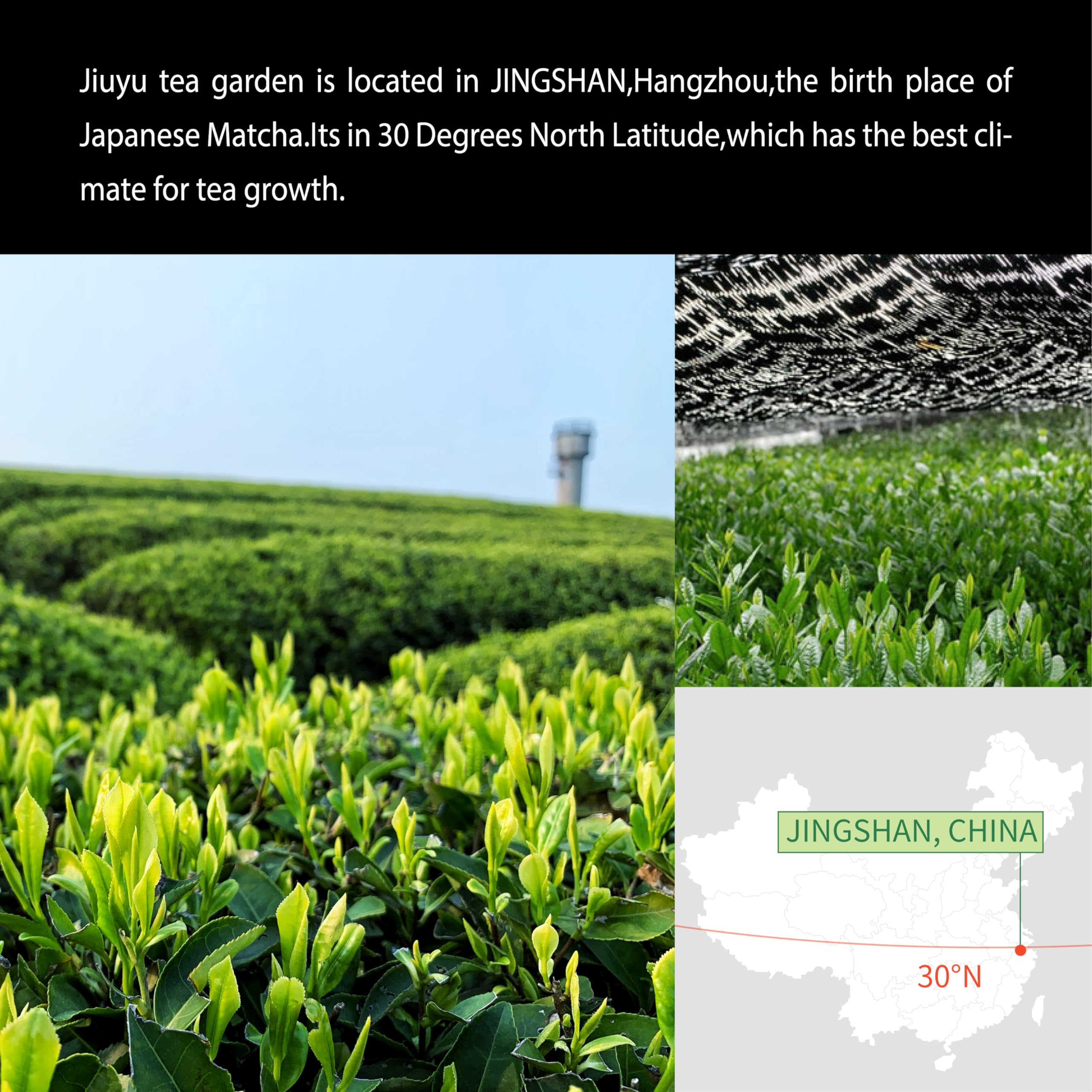 Organic Matcha Green Tea Powder First Harvest Ceremonial Grade 100 Pure Premium Matcha for Drinking and Latte No — view 8