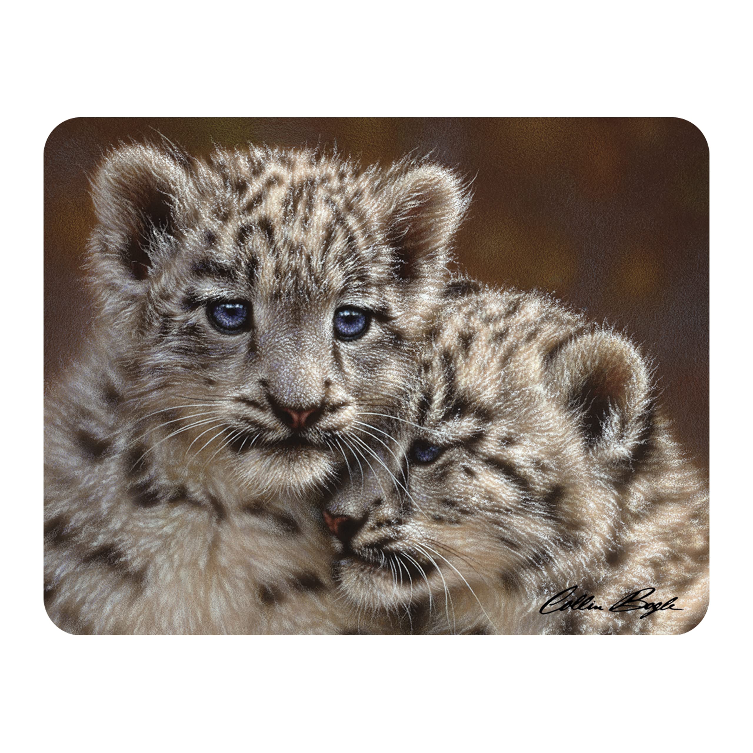 3D Livelife Playmates Magnet - From Deluxebase. Lenticular Animal Fridge Magnet. Decorative 3D Leopard Flat Magnets. Cute Small Magnets For Fridge, Dishwasher And Whiteboard.