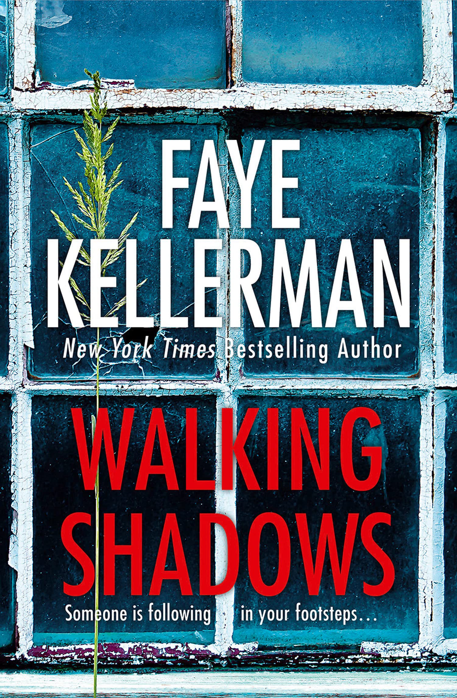 Walking Shadows: A gripping crime thriller from a New York Times bestselling author: Book 25 (Peter Decker and Rina Lazarus Crime Series)