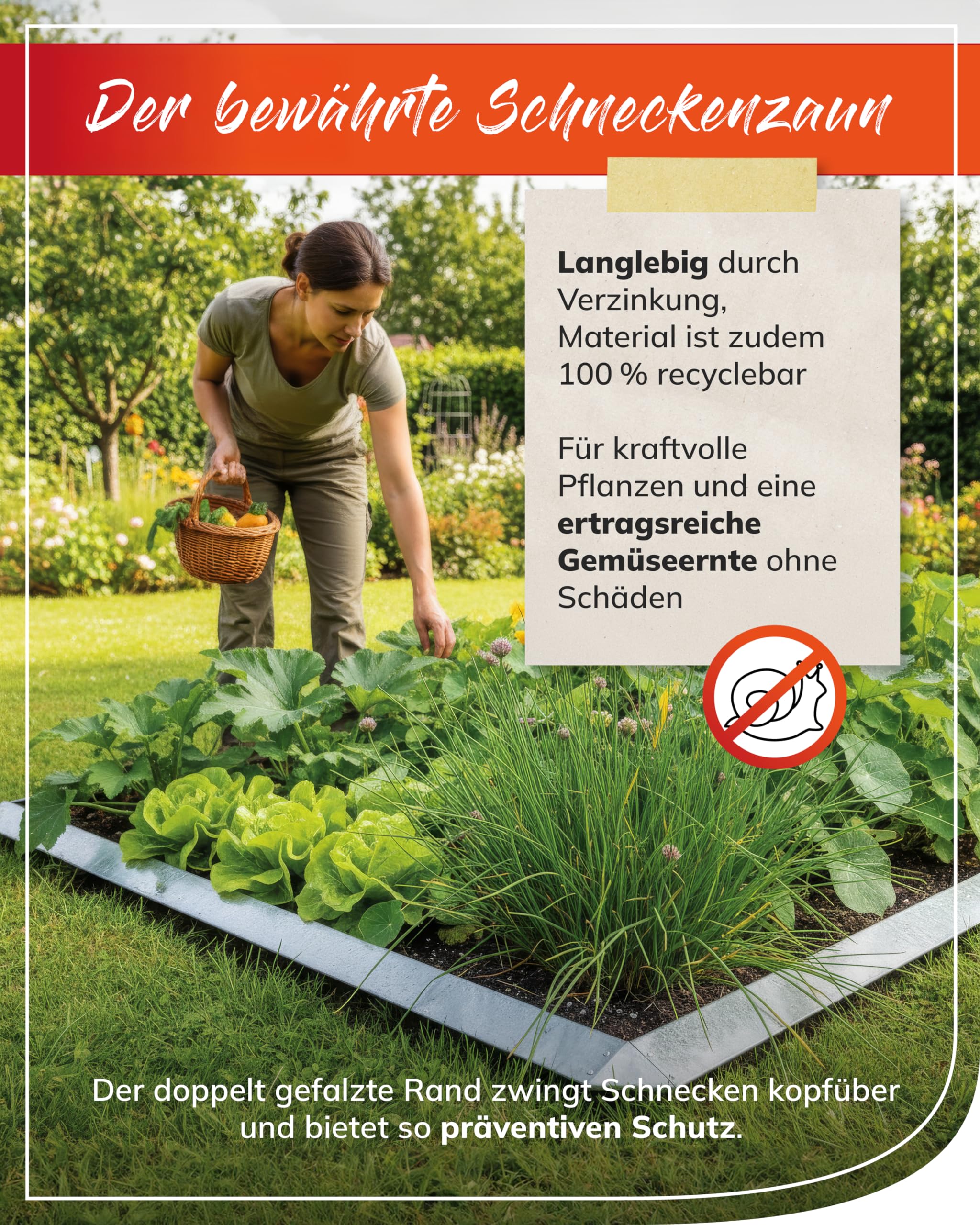 bellissa Schneckenzaun 8-TLG Schneckenblech verzinktes Metall H20 cm | Premium Rasenkante, Beeteinfassung & Beetumrandung, Langlebige Schneckenabwehr