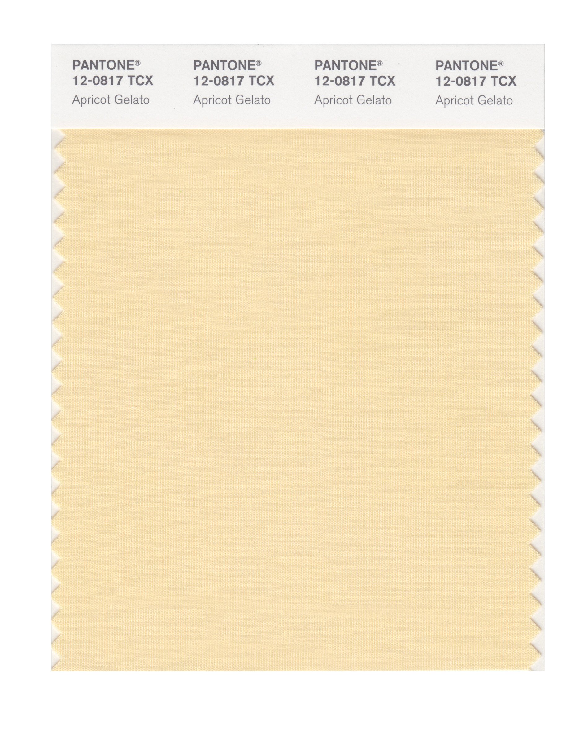 その他 PANTONE for fashion and  COLOR CARD Amazon.com: PANTONE Smart 12-0817X Color Swatch Card, Apricot