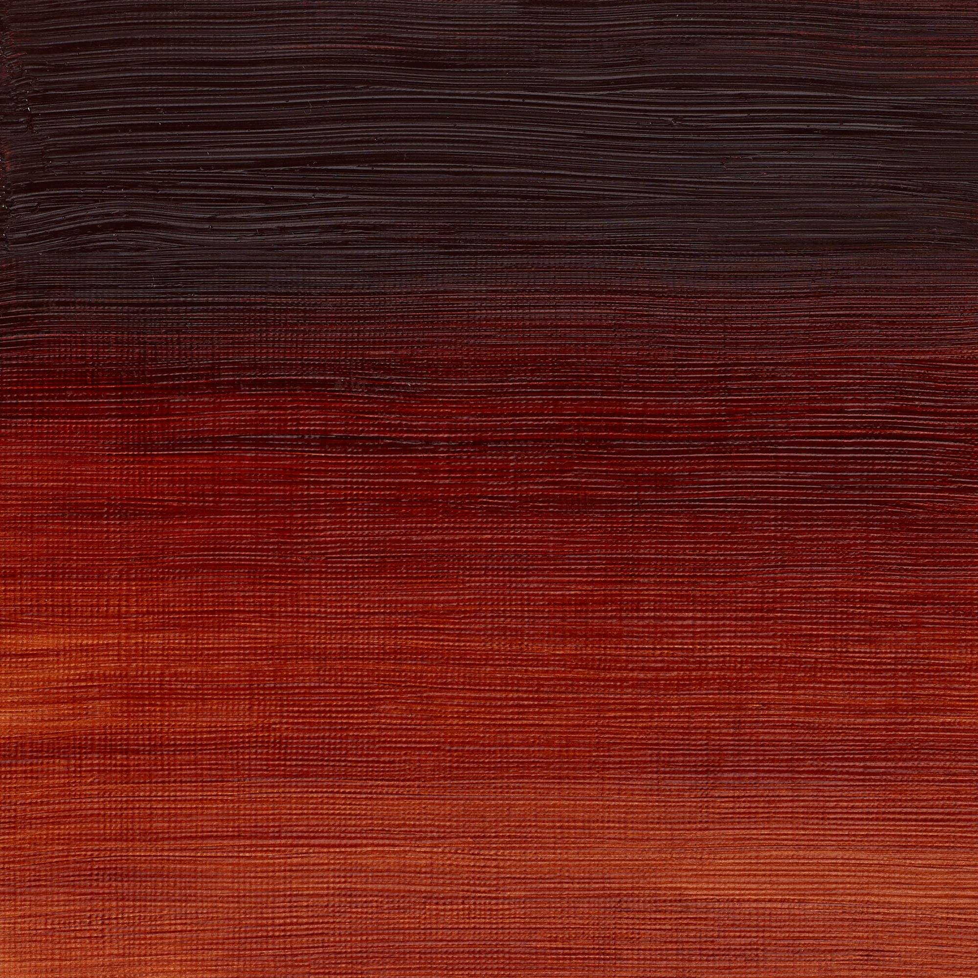 Winsor & Newton Terra Di Siena Bruciata 37Ml. (S.1) Artisan Watermixable Oil Colour (Burnt Sienna, 37Ml)
