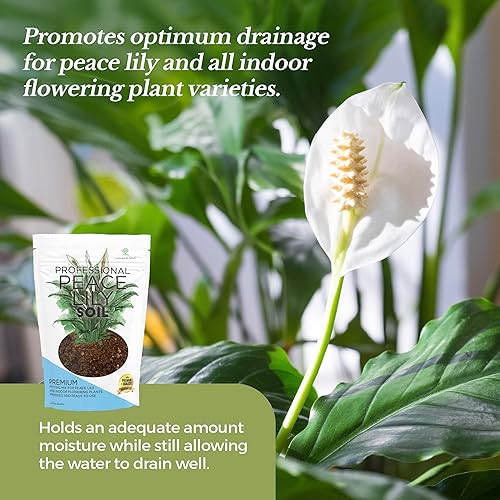 Miniatura 10 de Suelo profesional para plantas de serpientes  Grande 2.2 cuartos de galón listo para usar para plantas de serpientes  Musgo de turba, fibra de coco,