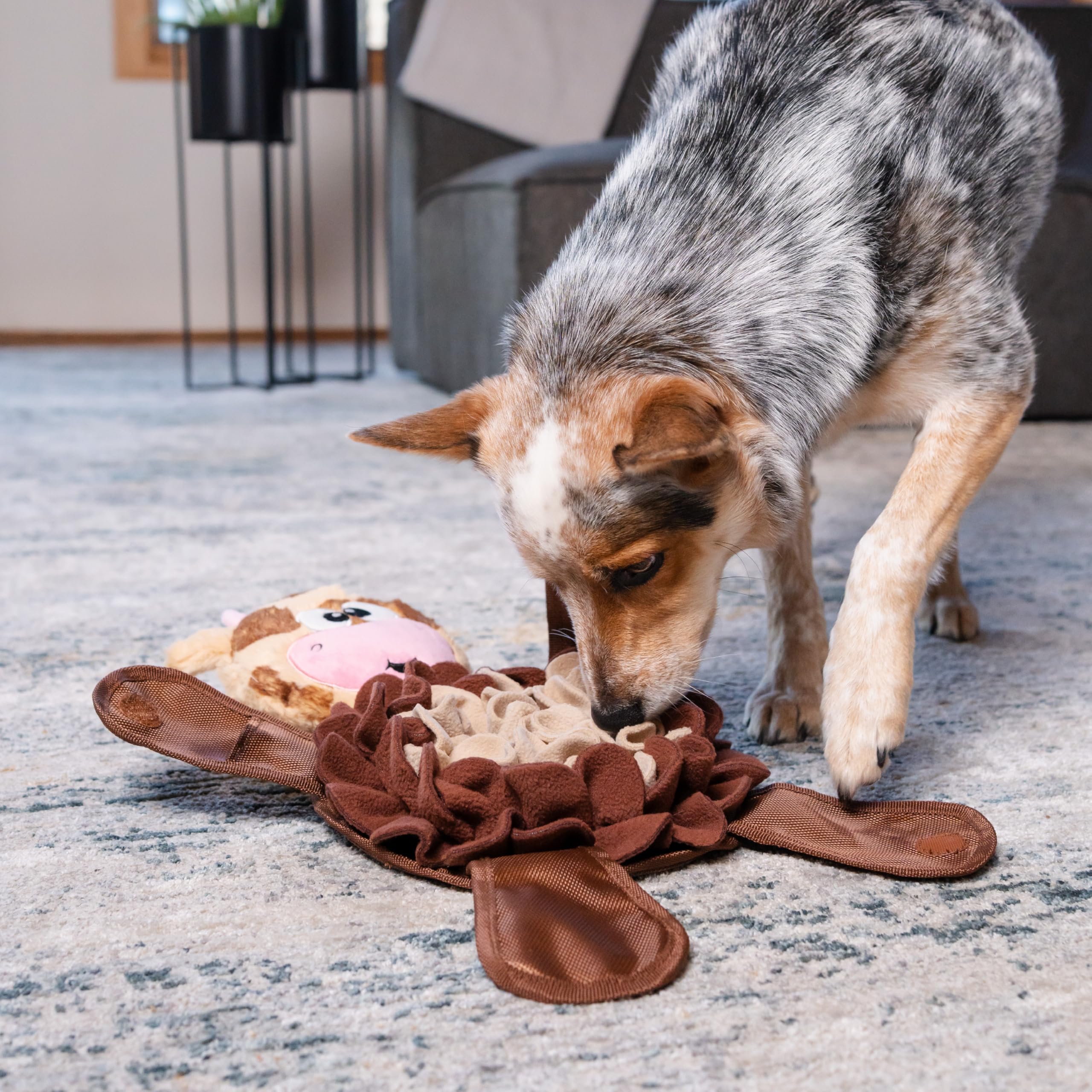 Amazon.com: Outward Hound by Nina Ottosson Snuffle Palz Plush