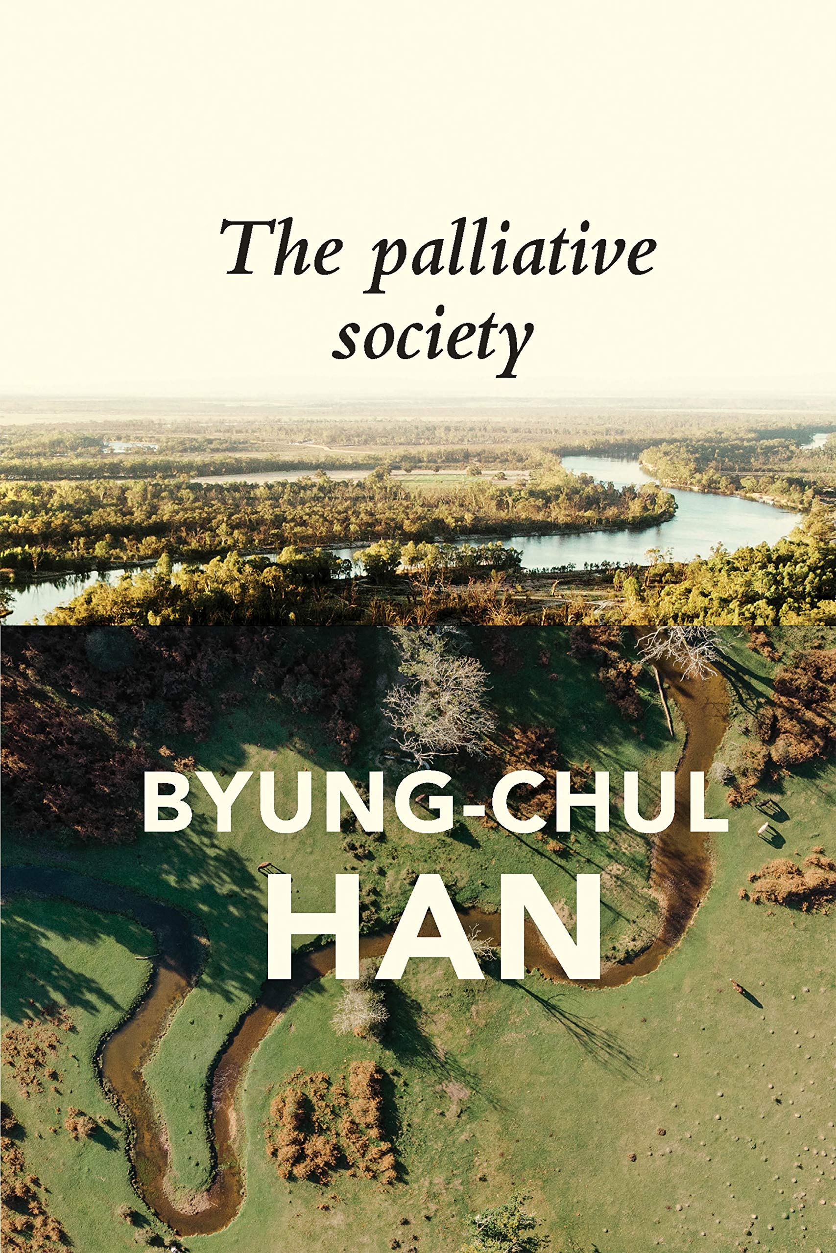 The Palliative Society Pain Today Han Steuer Paperback Polity Press