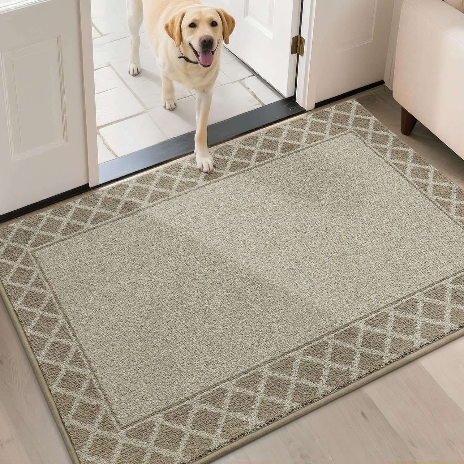BEQHAUSE Door Mat Dirt Trapper Non Slip Entryway Rugs Absorbent Welcome Mat Low Profile Washable Front Door Mat for Muddy Paws,Entrance,Hallway, 32" x 48",Beige