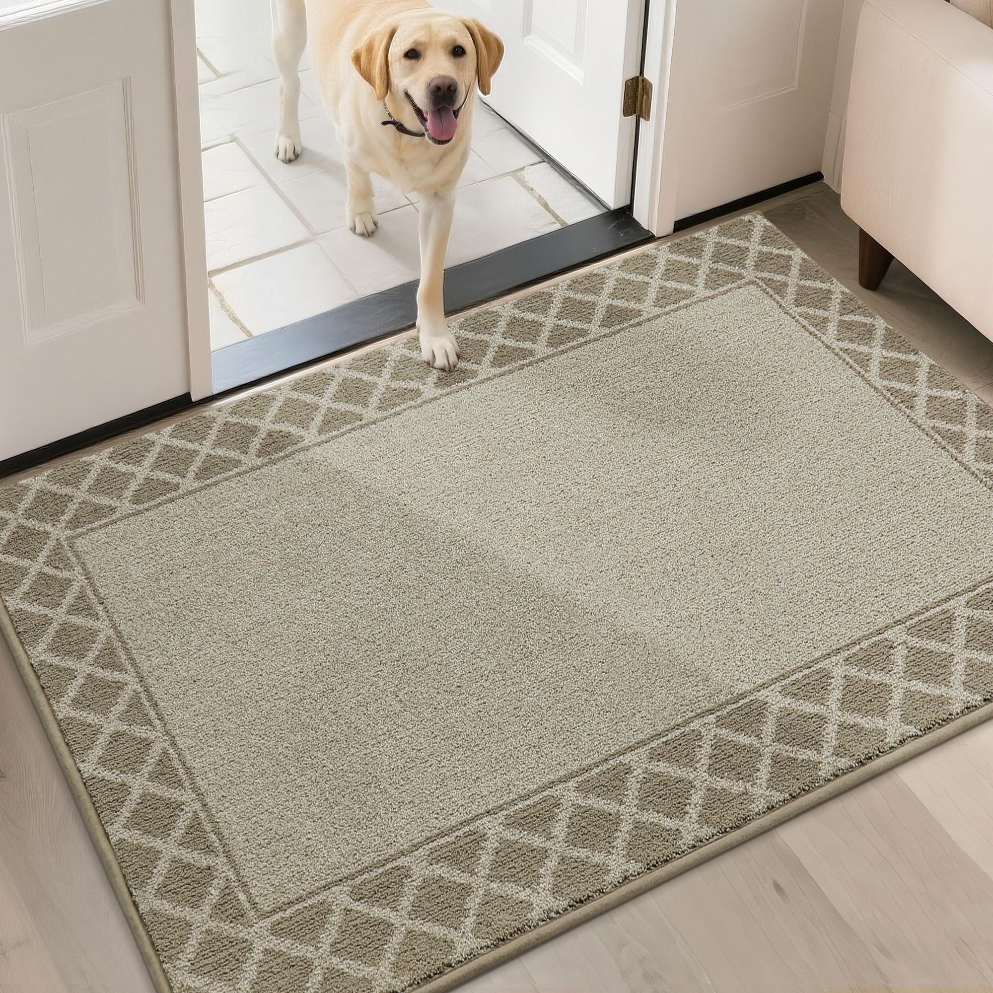 BEQHAUSE Door Mat Indoor Entrance Dirt Trapper Rugs for Entryway Non Slip Welcome Mat Absorbent Floor Mat Low Profile Washable Front Doormat for Dirty
