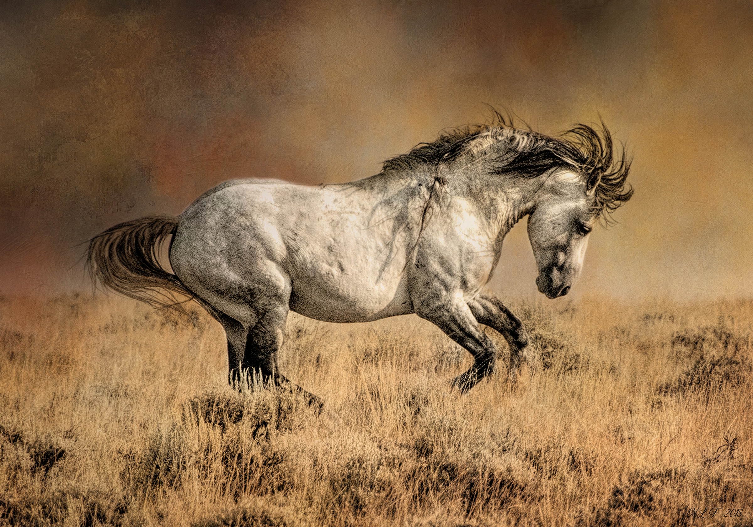 Prancing Wild Stallion Fabric Panel - AHS-008, Panel Size is 24” wide and 17.5” Tall, Quality Quilting Cotton