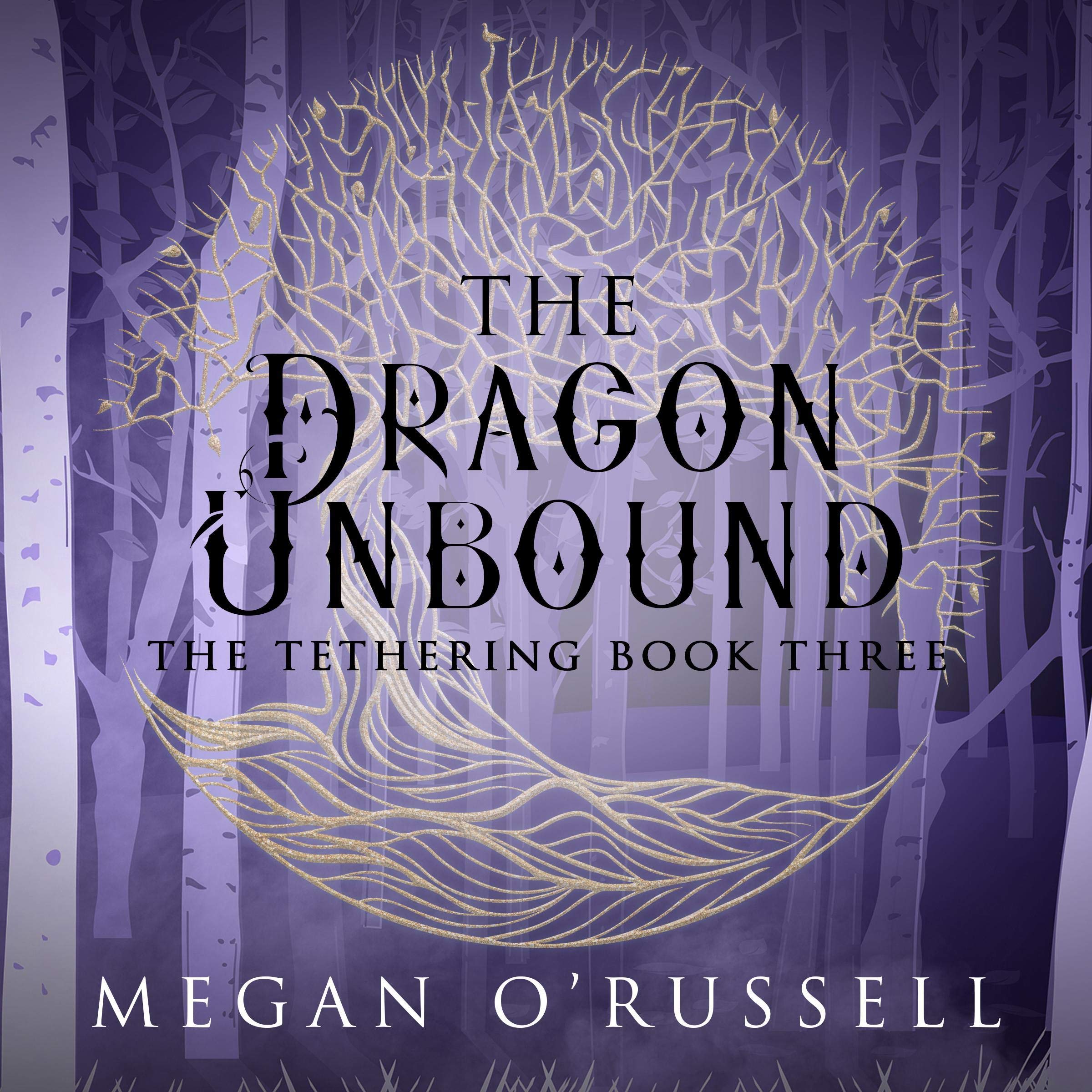 Cover art for The Dragon Unbound