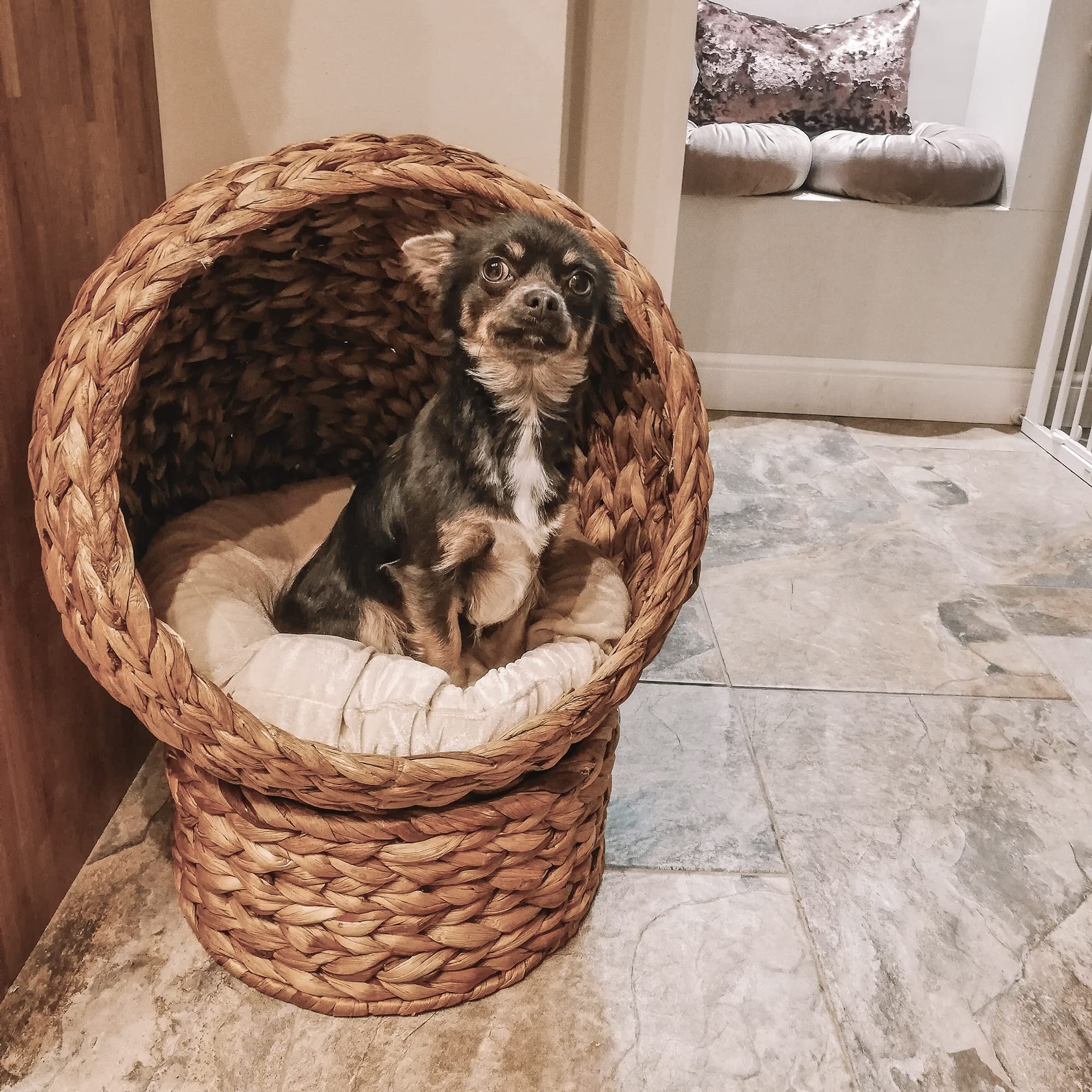 PawHut Rattan Katzenkorb Katzenhöhle Katzenhütte Katzenbett mit Kissen Haustierbett Wasserhyazinthe Braun 50 x 42 x 60 cm
