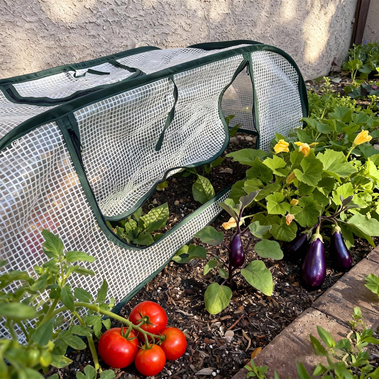 Copertura per Serra Pianta per acceleratore da Giardino con Porta con Cerniera Forniture per la casa da Giardinaggio per Accessori per la casa Giardinaggio