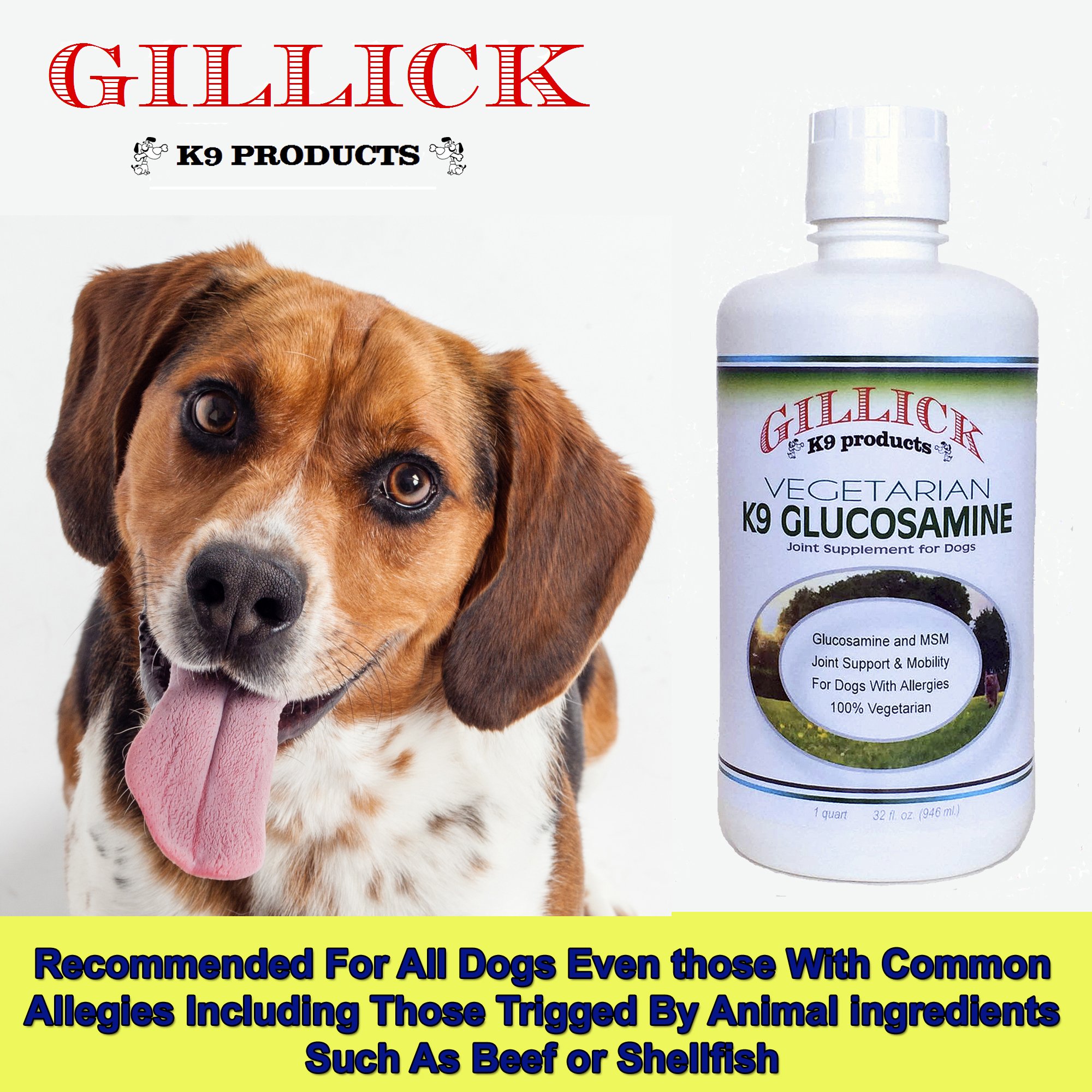 Are Dogs Allergic To Shellfish