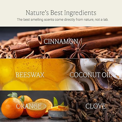 Miniatura 4 de Fontana Candle Co - Vela de aguja de abeto y pino  Vela ligeramente perfumada  Hecha de cera de abeja y aceite de coco  Aceite esencial  Mecha de