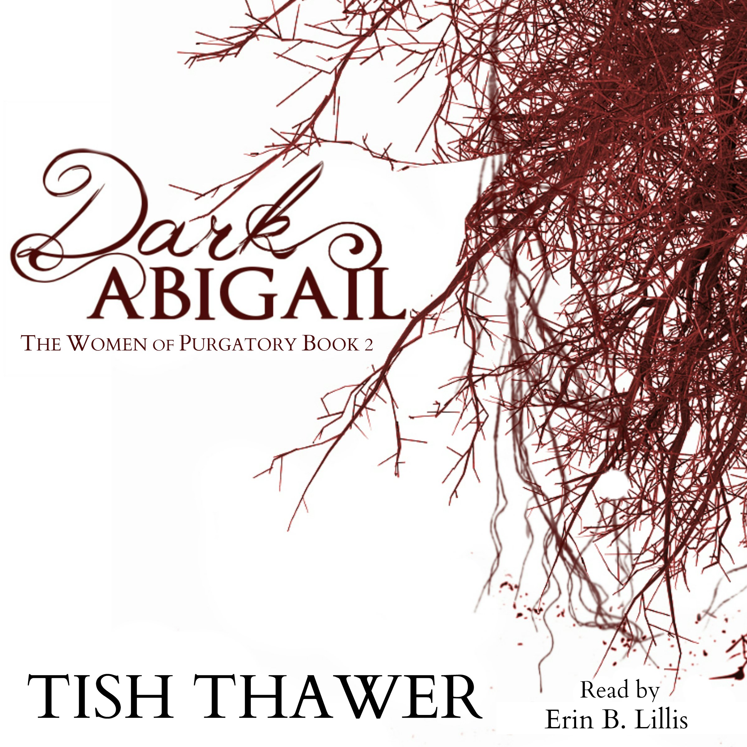 Cover art for Dark Abigail
