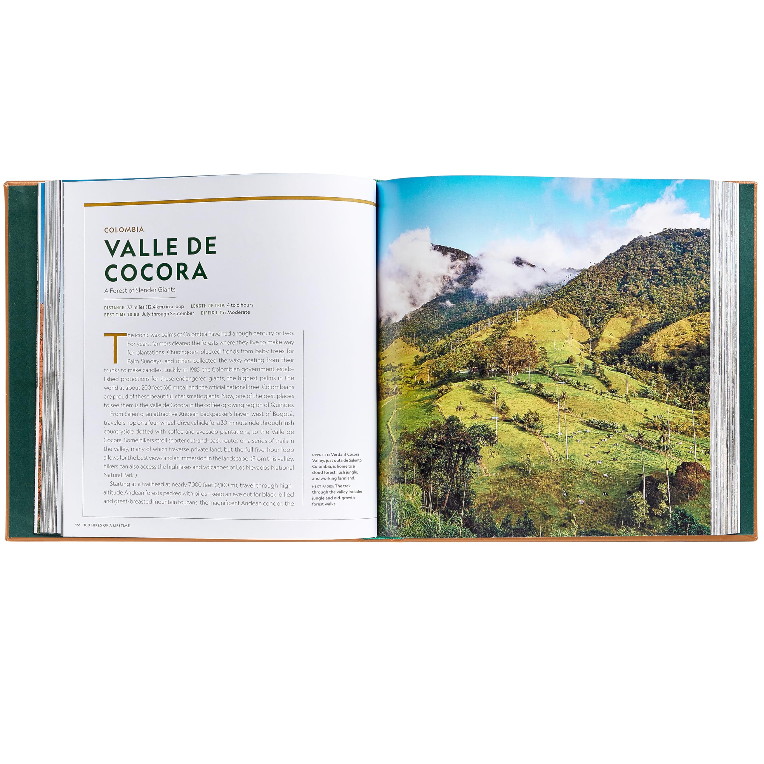 100 randonnées d'une vie : les sentiers pittoresques ultimes du monde – Graphic Image Leather Bound Tan – Édition de collection fine – Fabriqué aux États-Unis