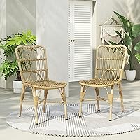 Christopher Knight Home Rekker Set of 2 PE Wicker Patio Dining Chairs, Rust-Resistant Iron Frame, Fully Assembled Outdoor Rattan Lounge Chairs, Natural