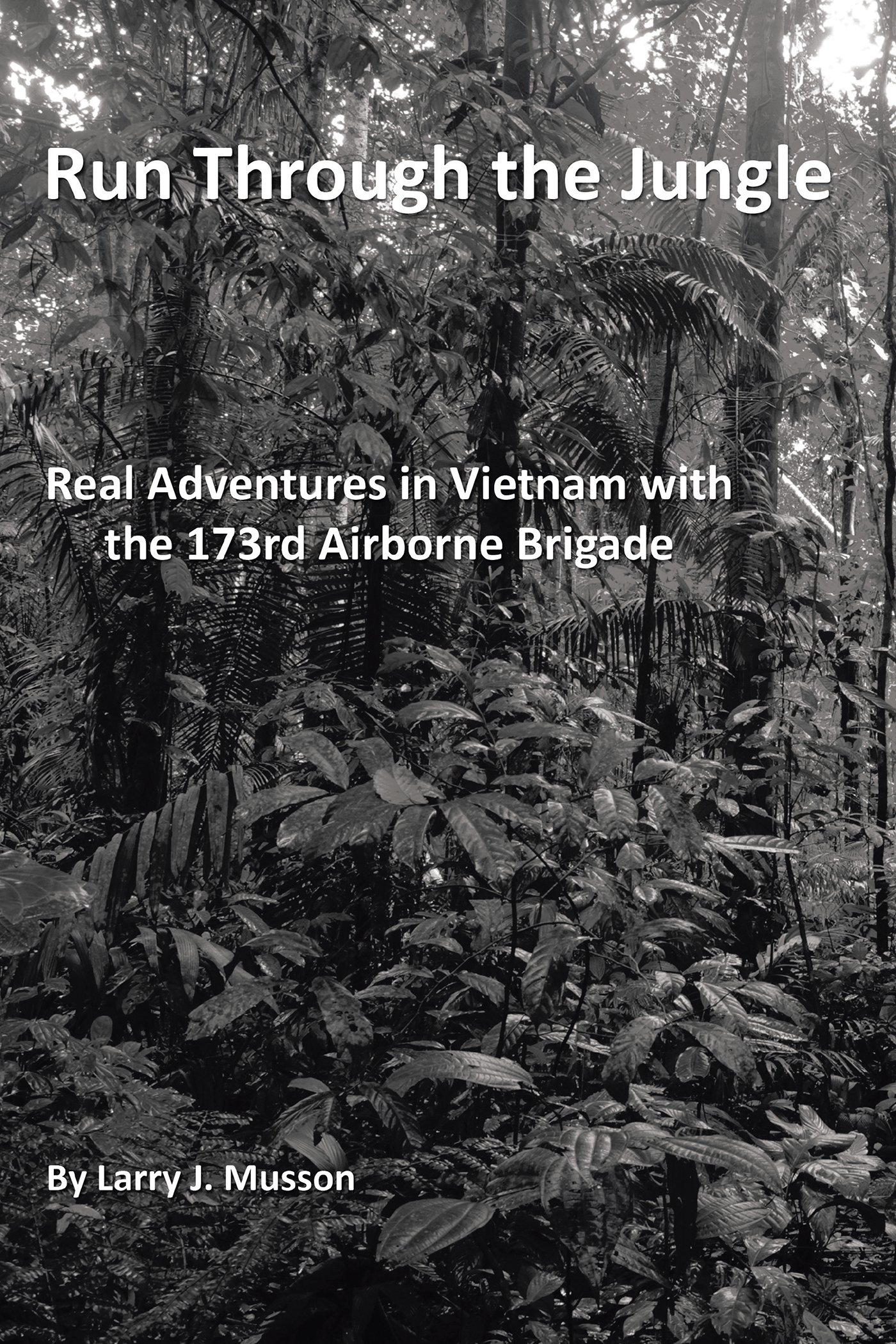 Run Through the Jungle: Real Adventures in Vietnam with the 173Rd Airborne Brigade