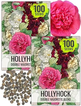 Seed Needs Hollyhock Seeds to Plant Double Majorette Alcea Flowers 2 Packs