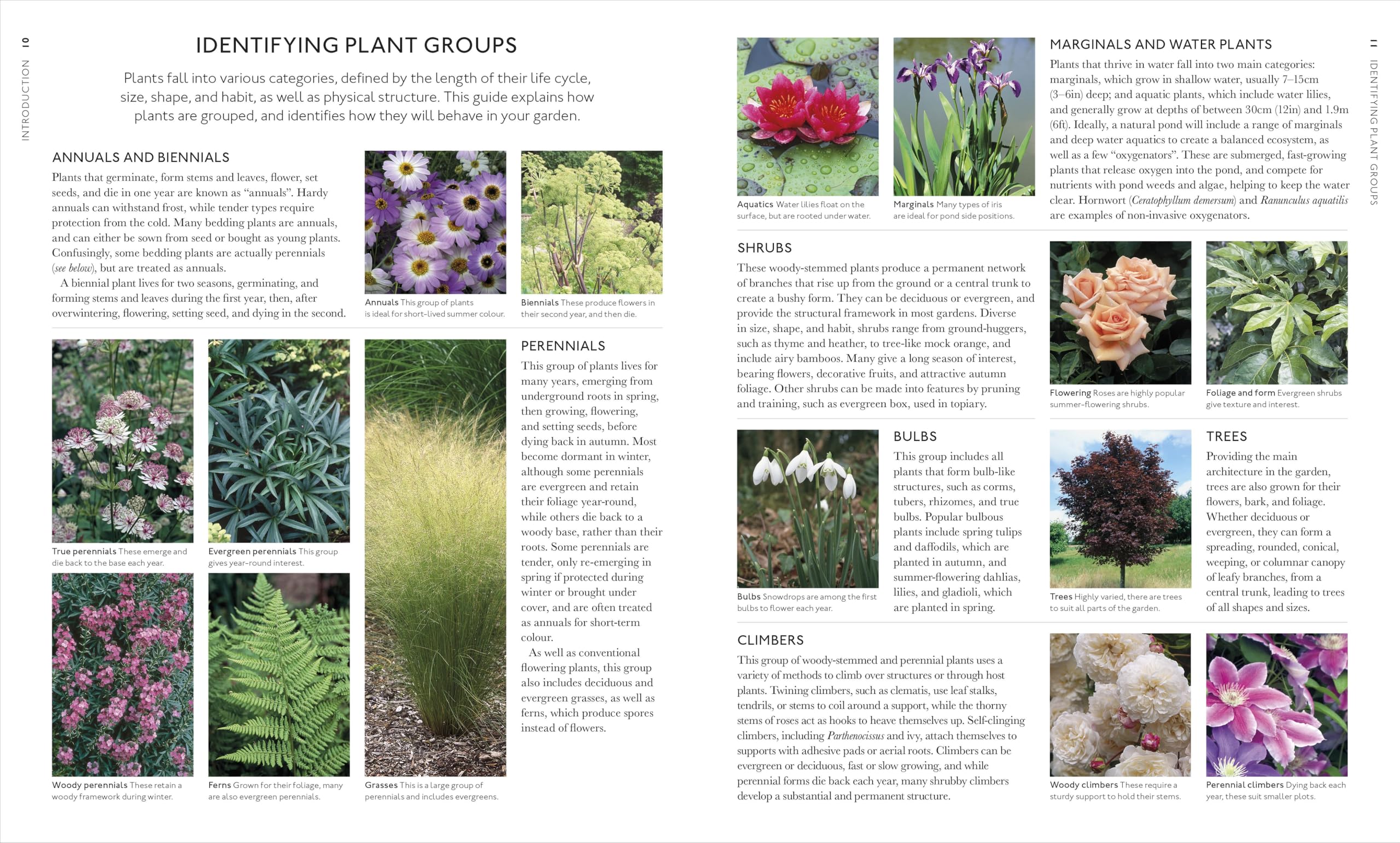 RHS What Plant Where Encyclopedia: An Expert Guide to More Than 3,000 Plants