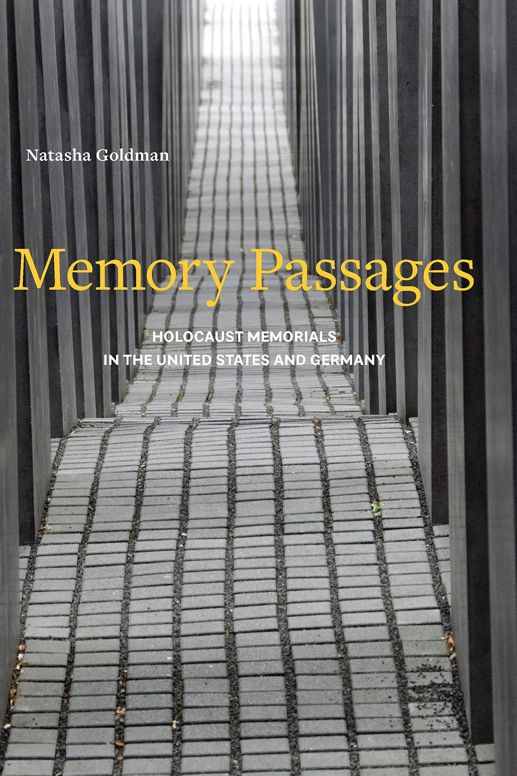 Holocaust Memorials Memory Passages livre histoire mémoriaux Allemagne USA