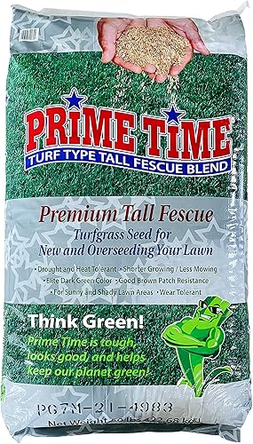 Pendelton Turf Supply Burlingham Seeds Prime Time - Mezcla de festuca alta  100 % alta  Semilla de césped certificada Blue TAG (50 libras (5,000