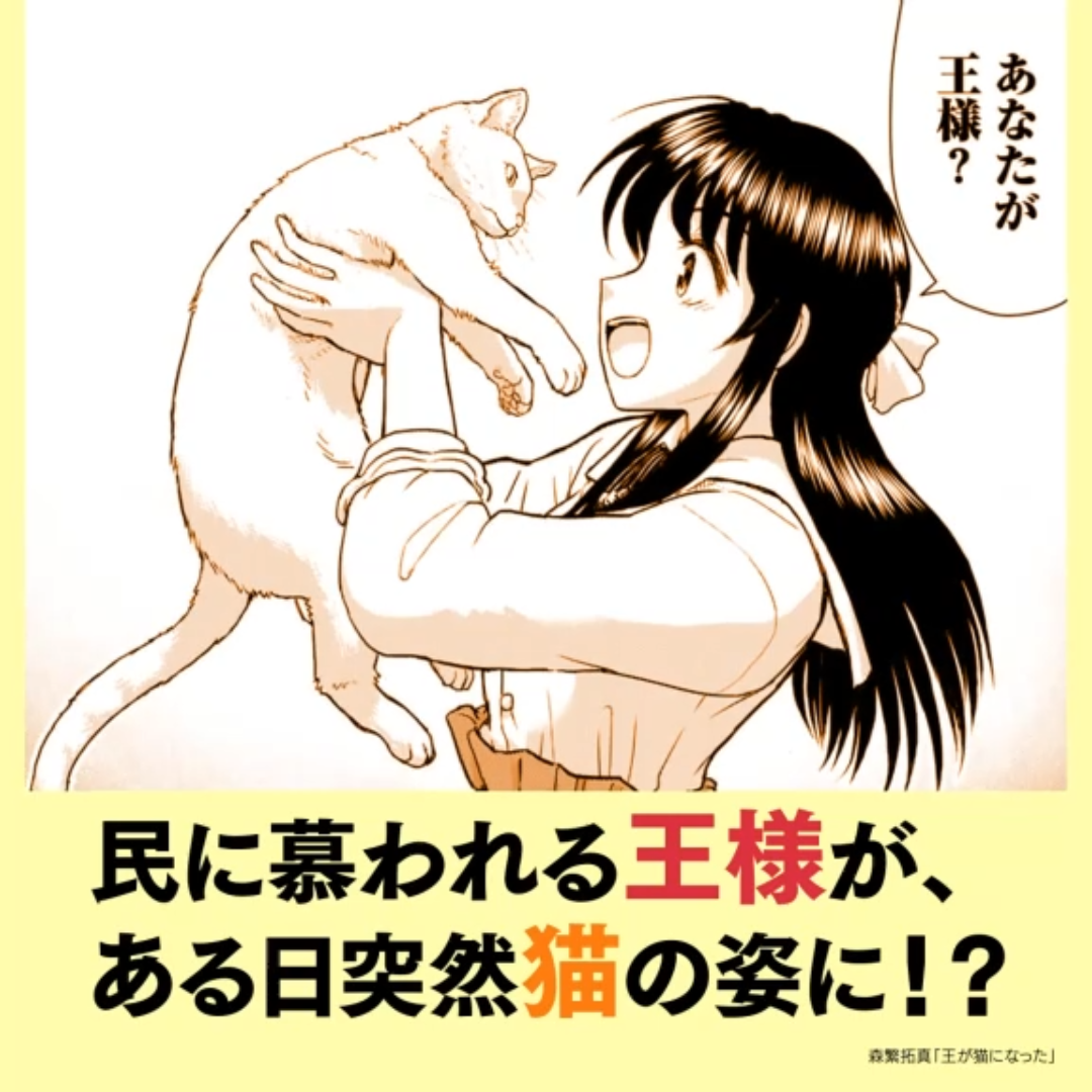王様な猫 文庫 全5巻完結セット (キャラ文庫) Amazon.co.jp: 王が猫になった (1) (バーズコミックス) : 森繁拓真: 本