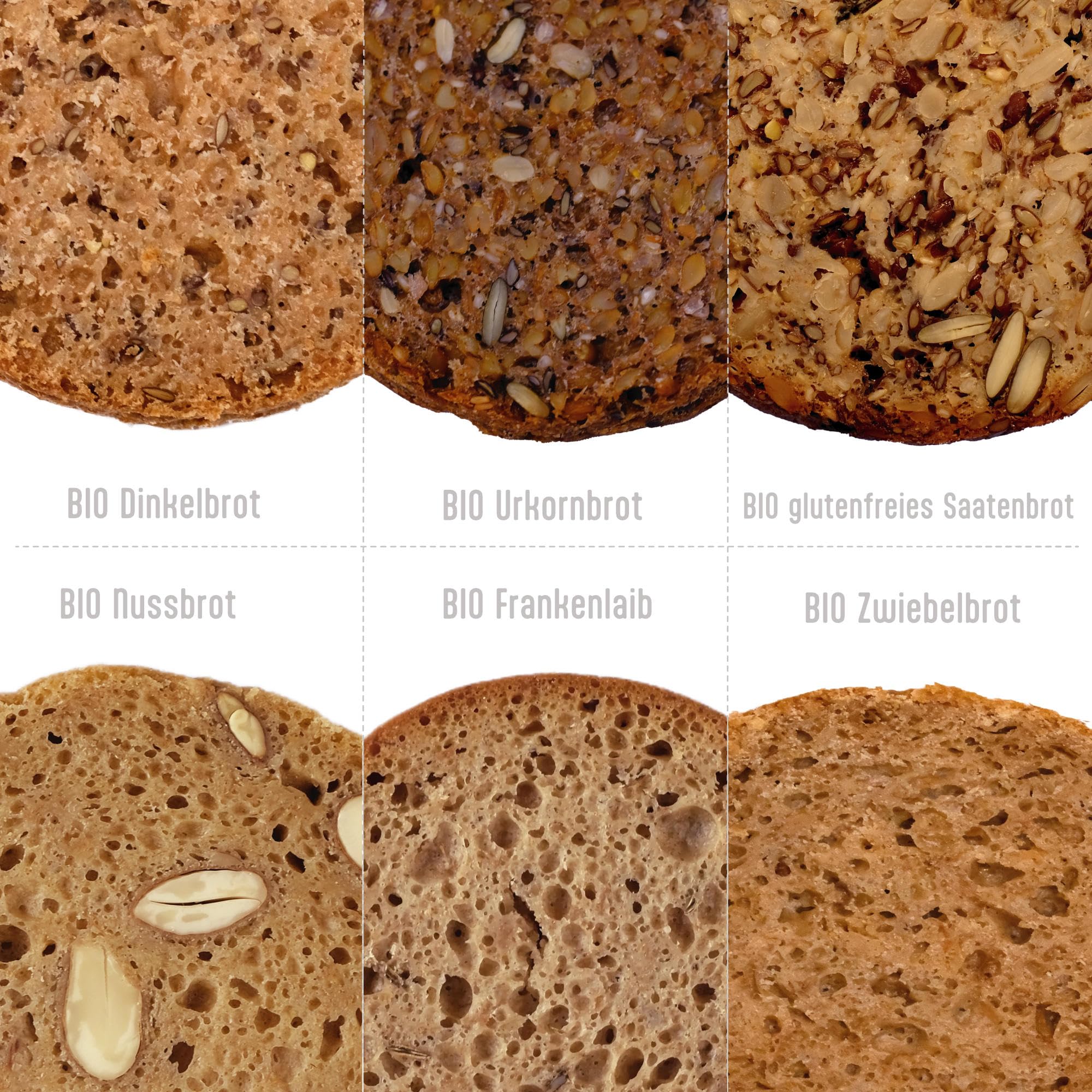 LANDSTREICHER Sortenwanderer Bio & Demeter Dosenbrot Mix-Paket (6 Sorten), Langzeit Haltbar (5-10 Jahre)