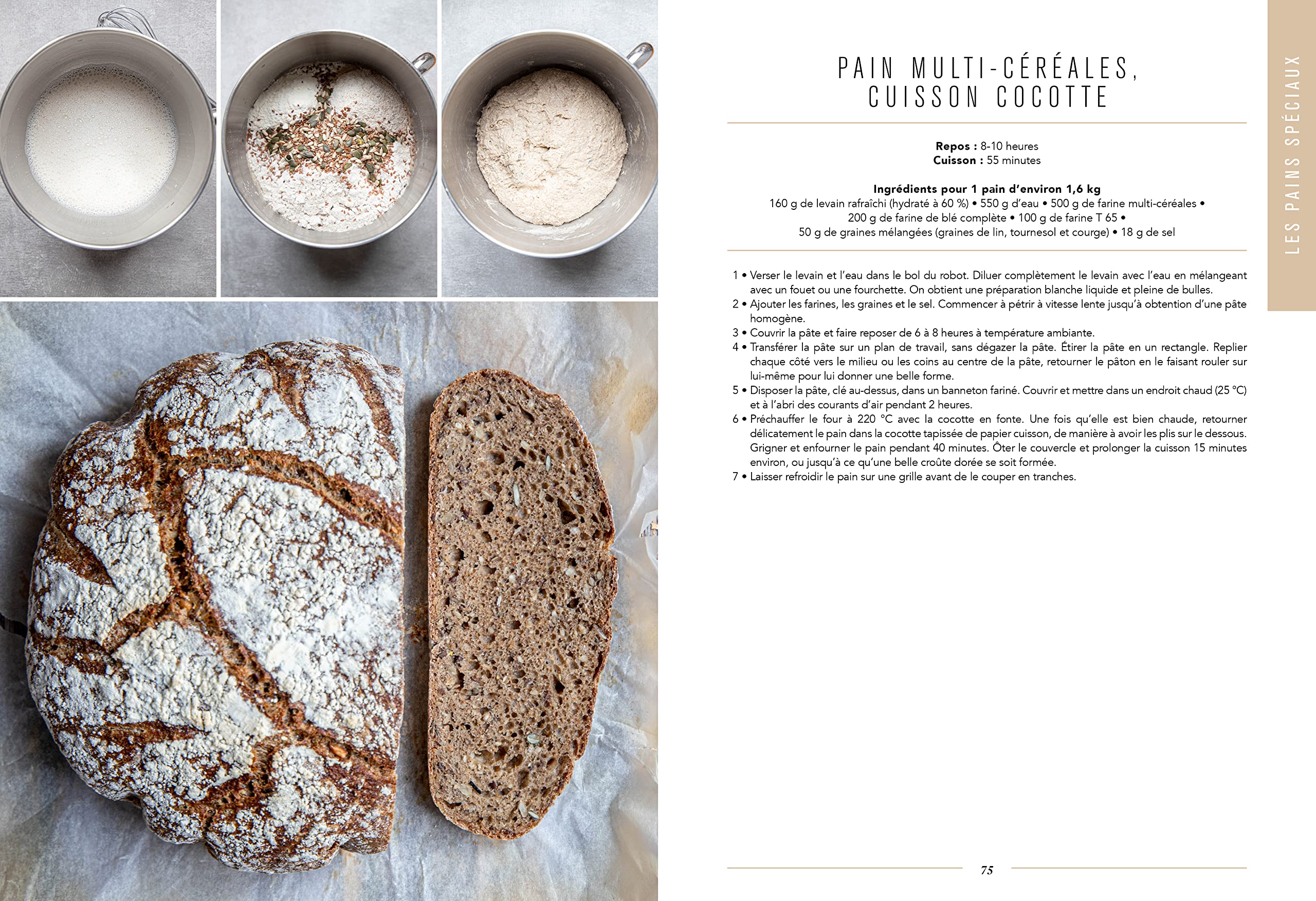 Levain, mon beau levain